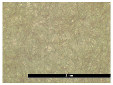 Coatings 15 00720 i008