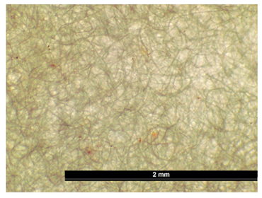 Coatings 15 00720 i009