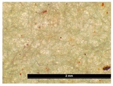 Coatings 15 00720 i011