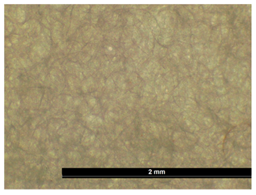 Coatings 15 00720 i012