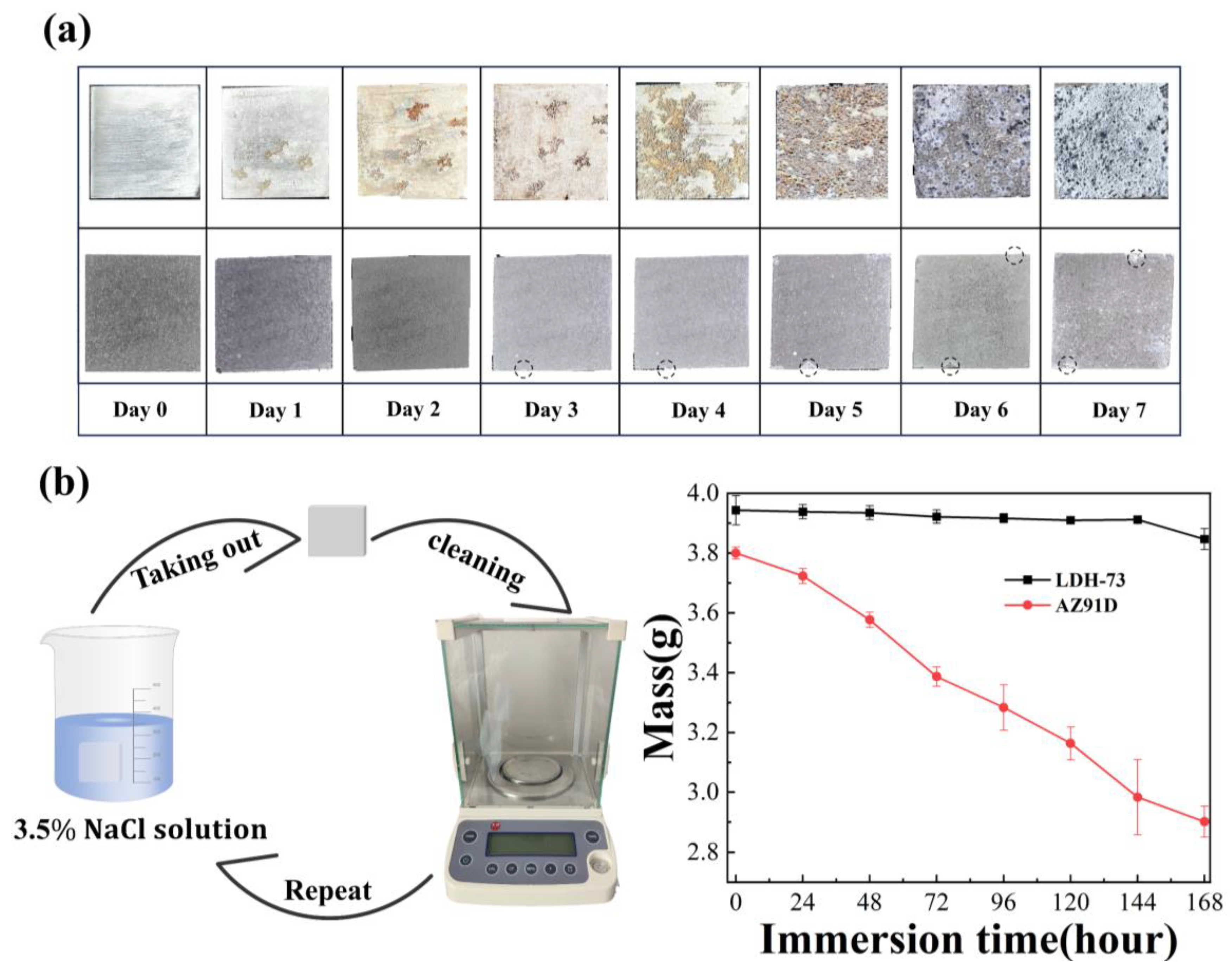Coatings 15 00722 g007