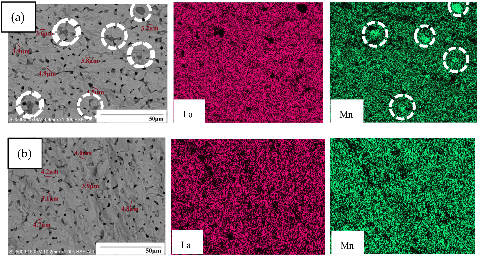 Coatings 15 00724 g004