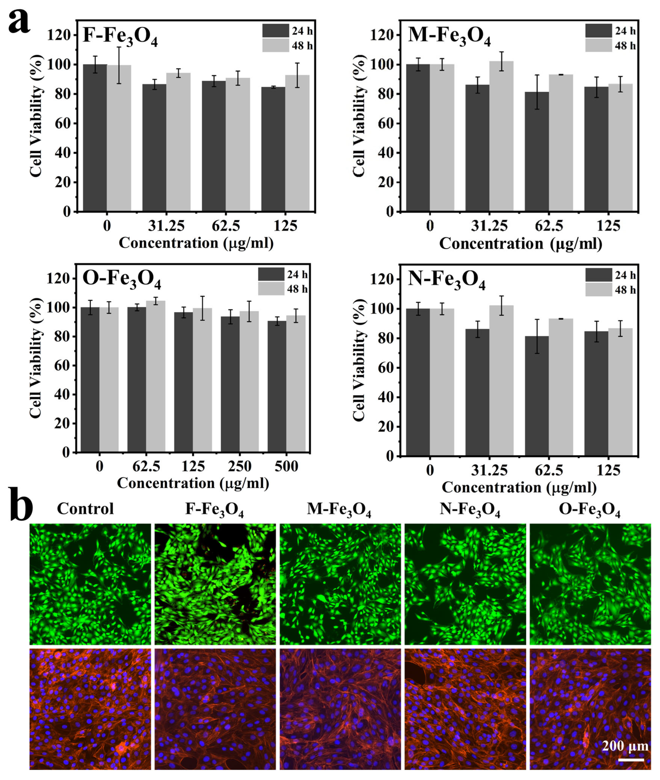 Coatings 15 00728 g004