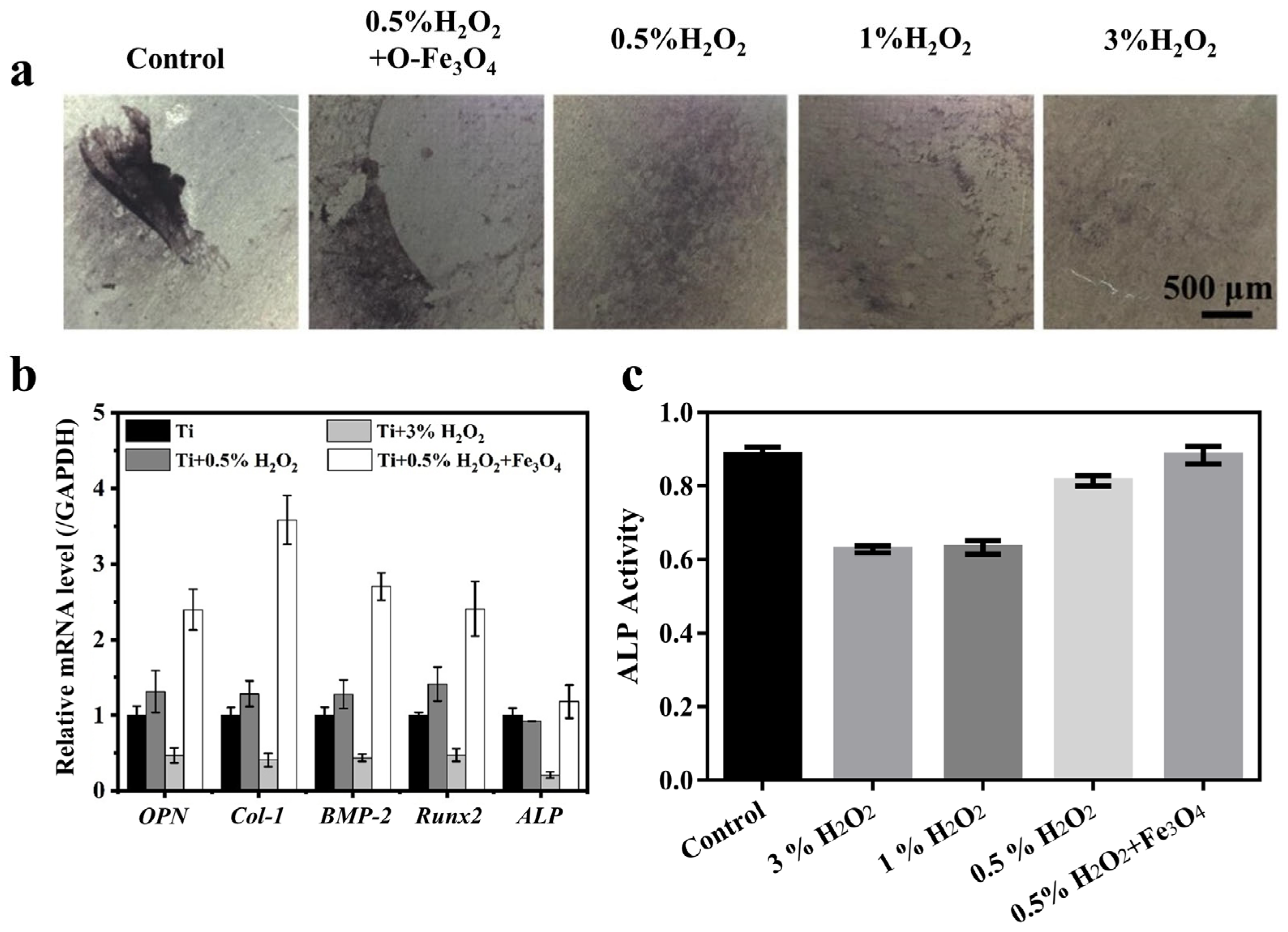 Coatings 15 00728 g005