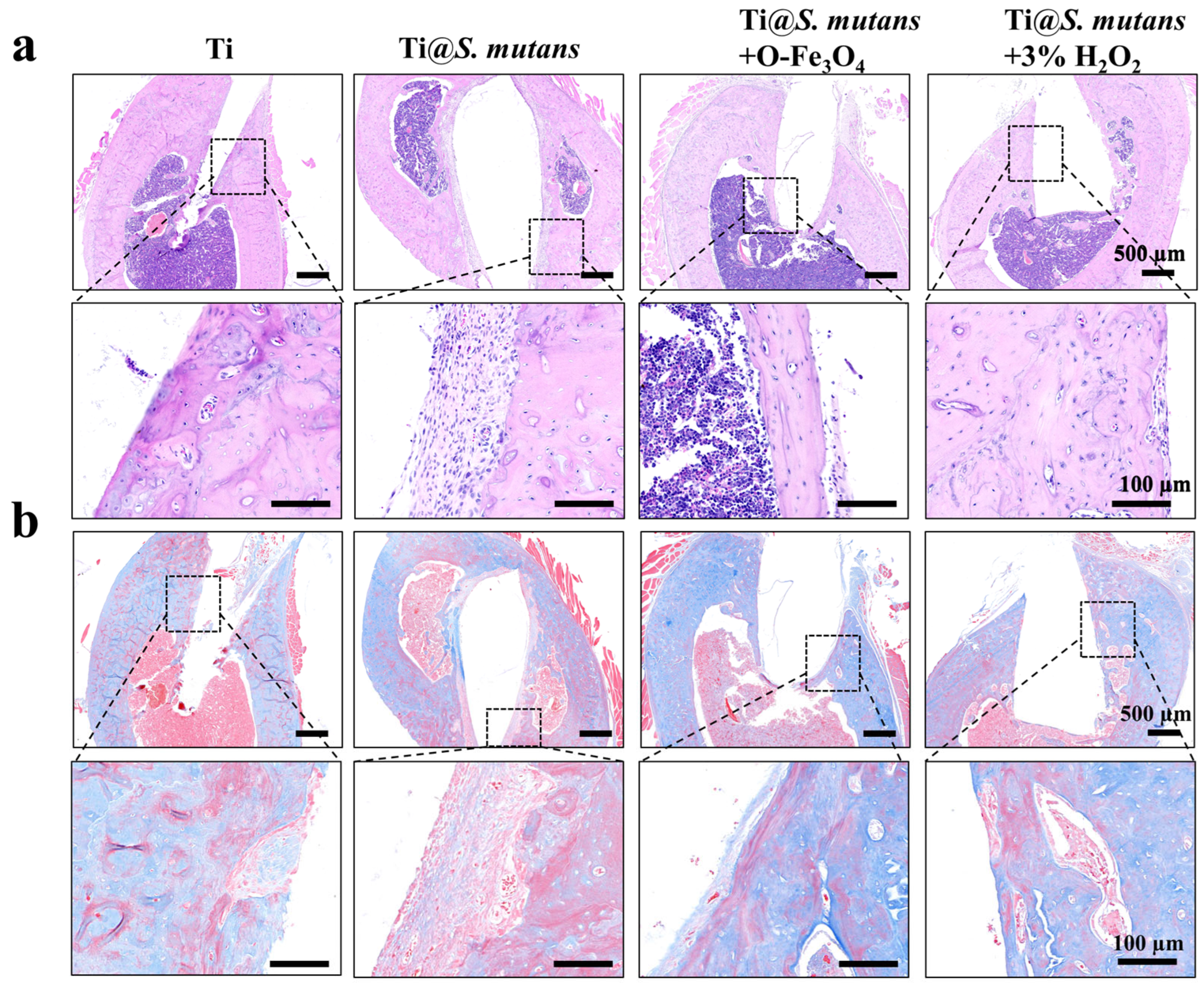 Coatings 15 00728 g009