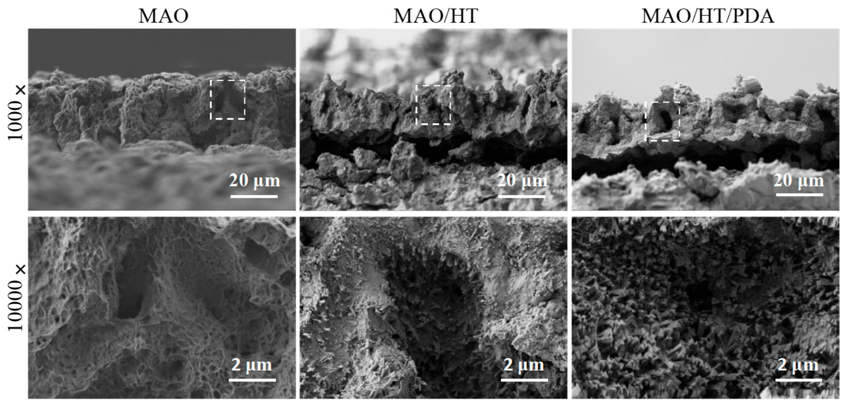Coatings 15 00729 g003