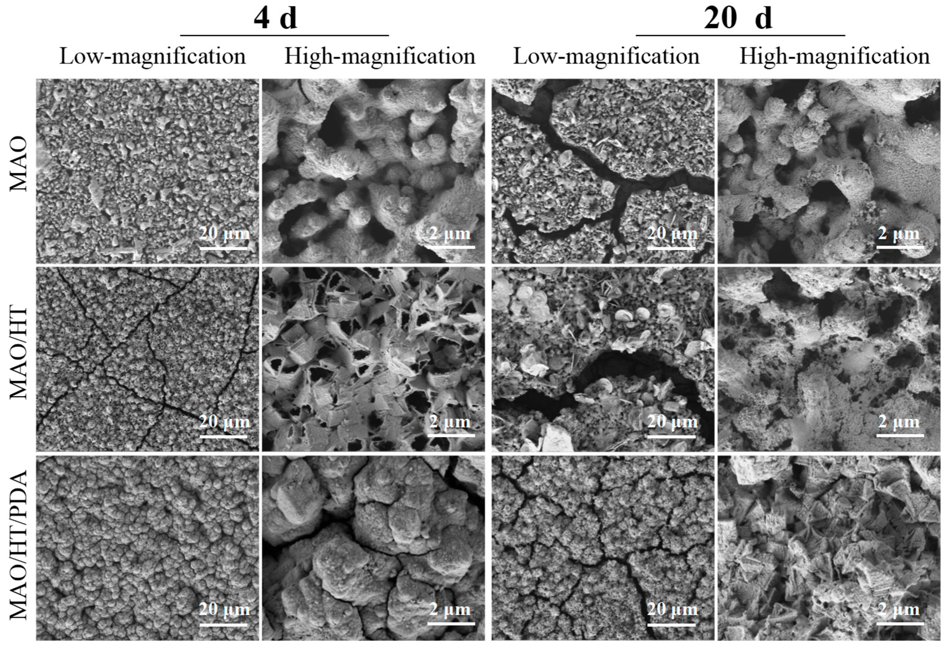 Coatings 15 00729 g006