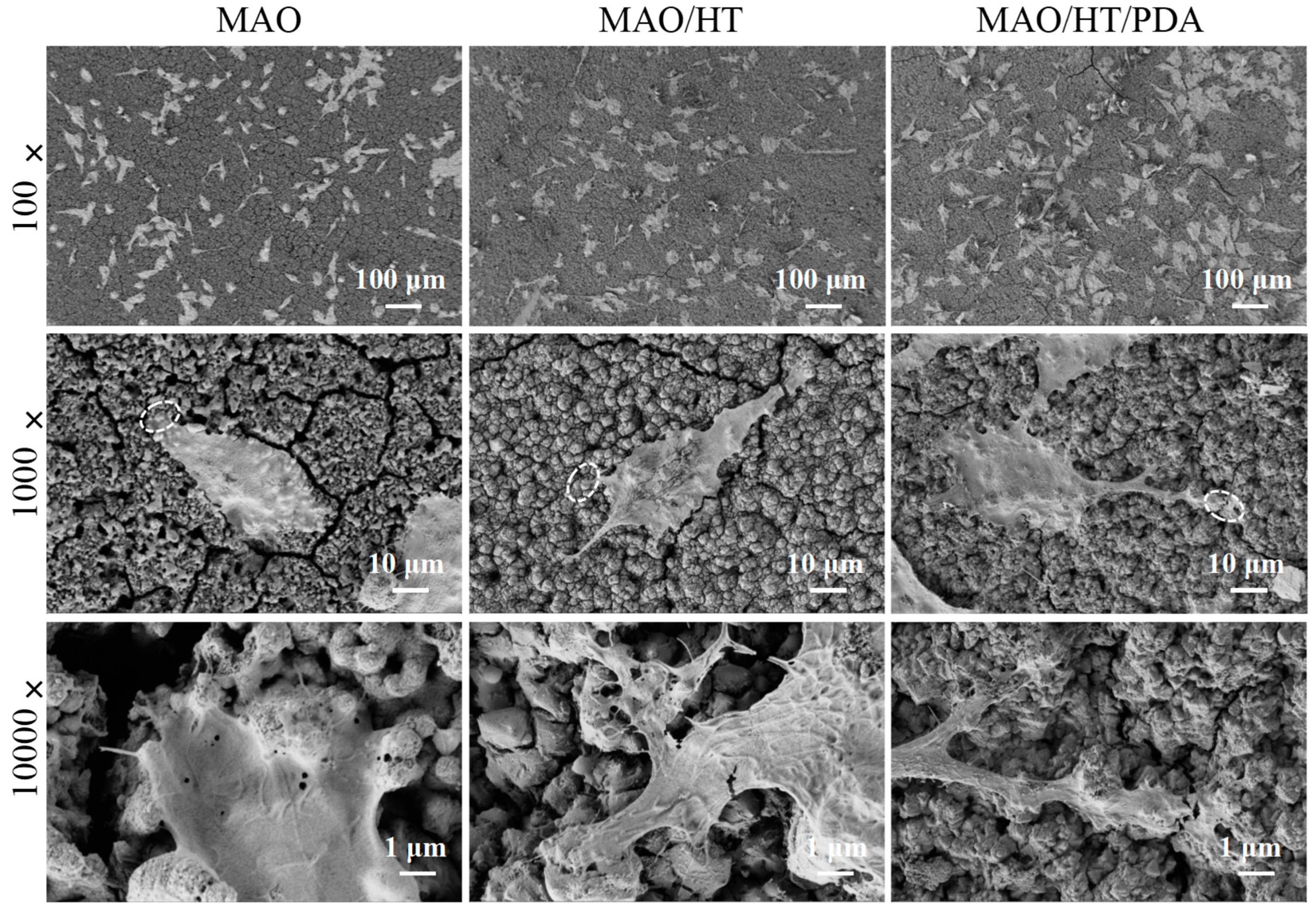 Coatings 15 00729 g009