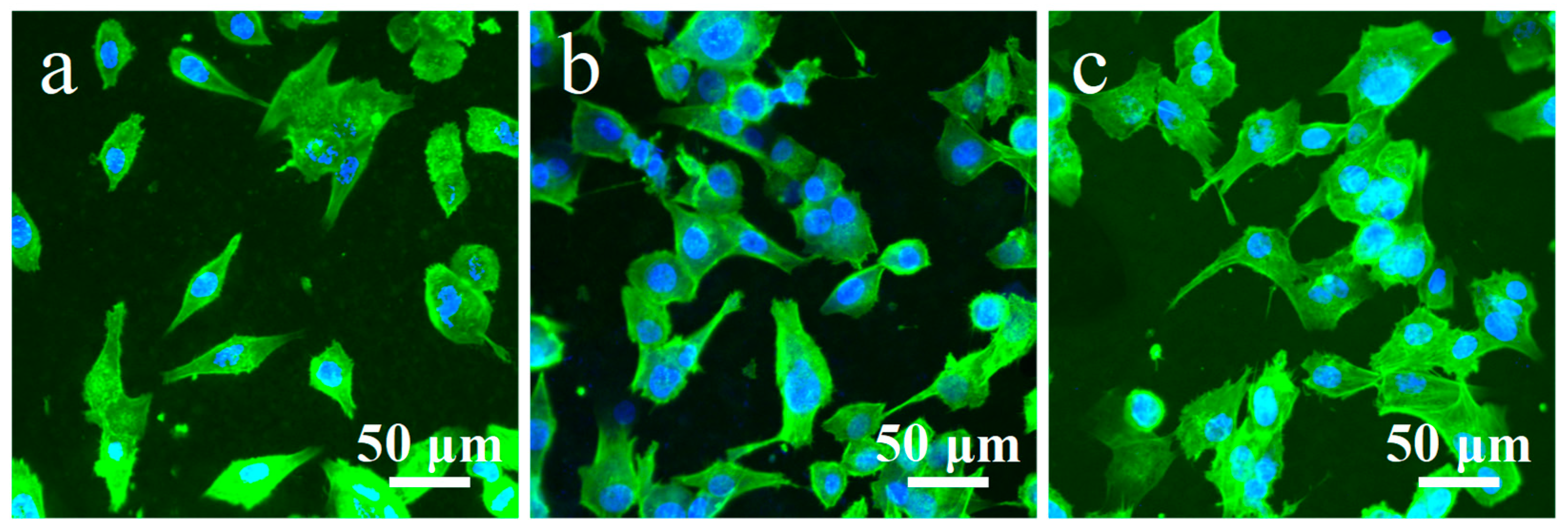 Coatings 15 00729 g010