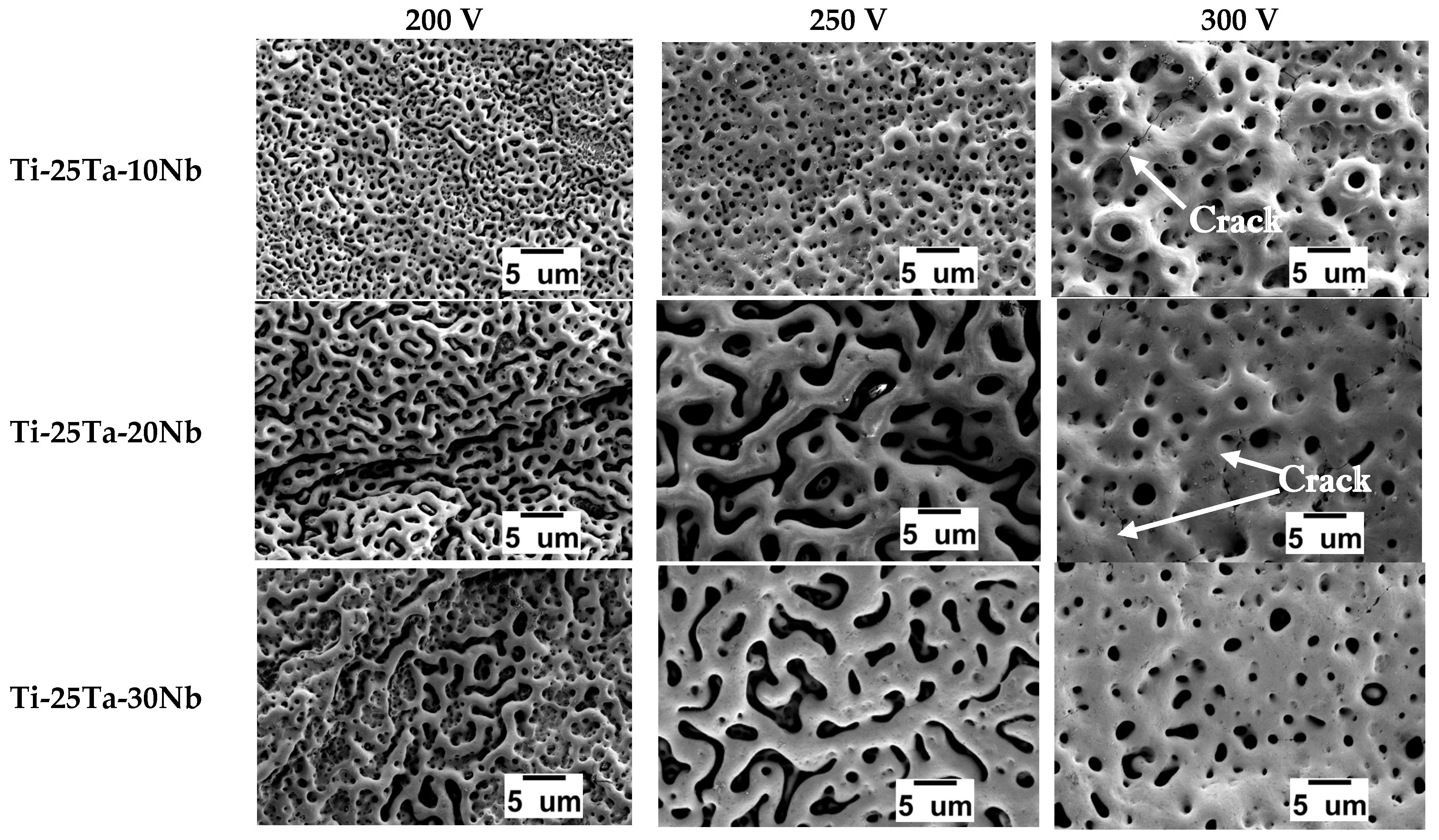 Coatings 15 00730 g003