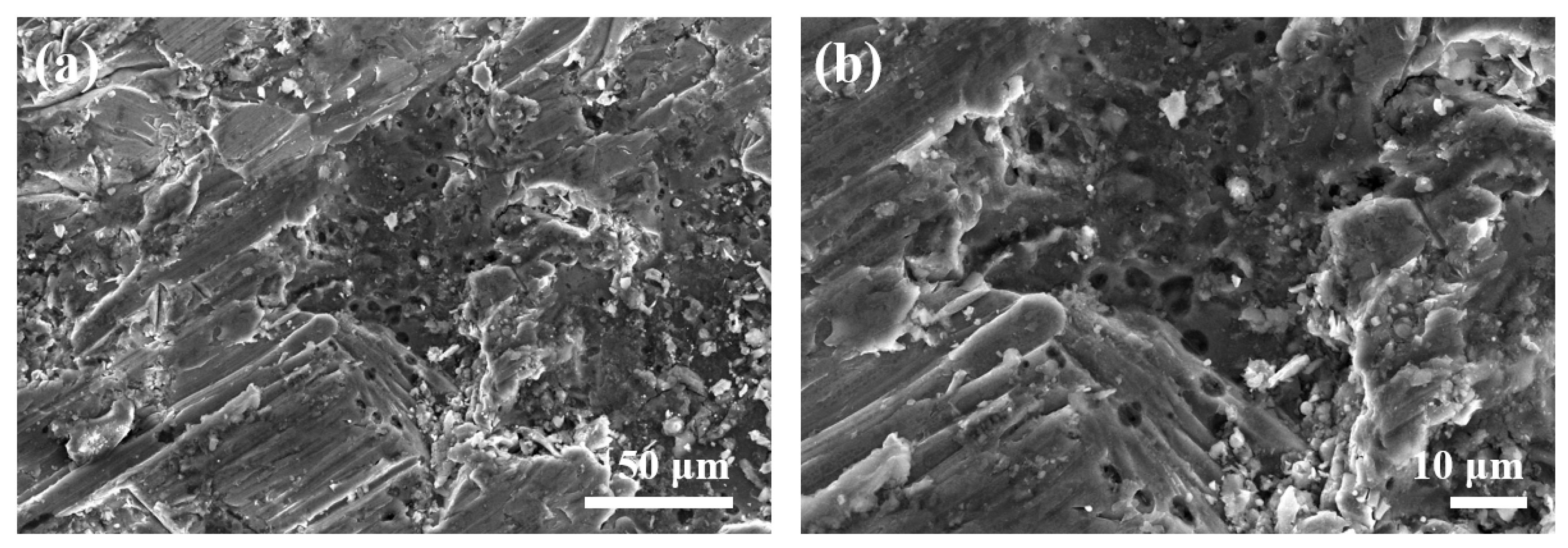 Coatings 15 00731 g005
