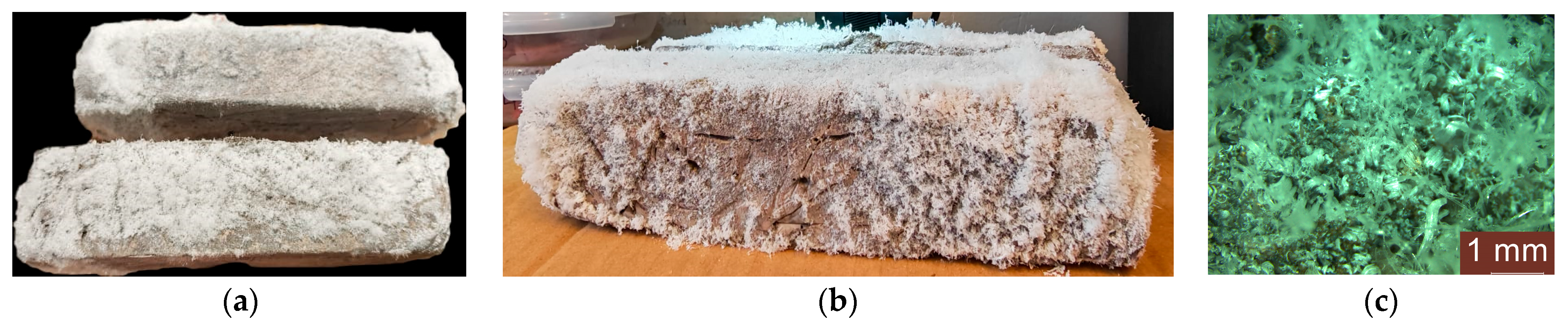 Coatings 15 00734 g011