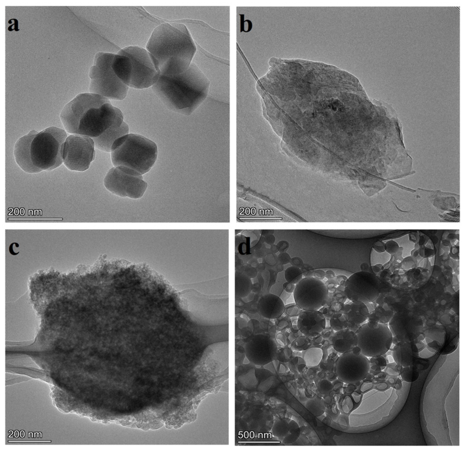 Coatings 15 00737 g005