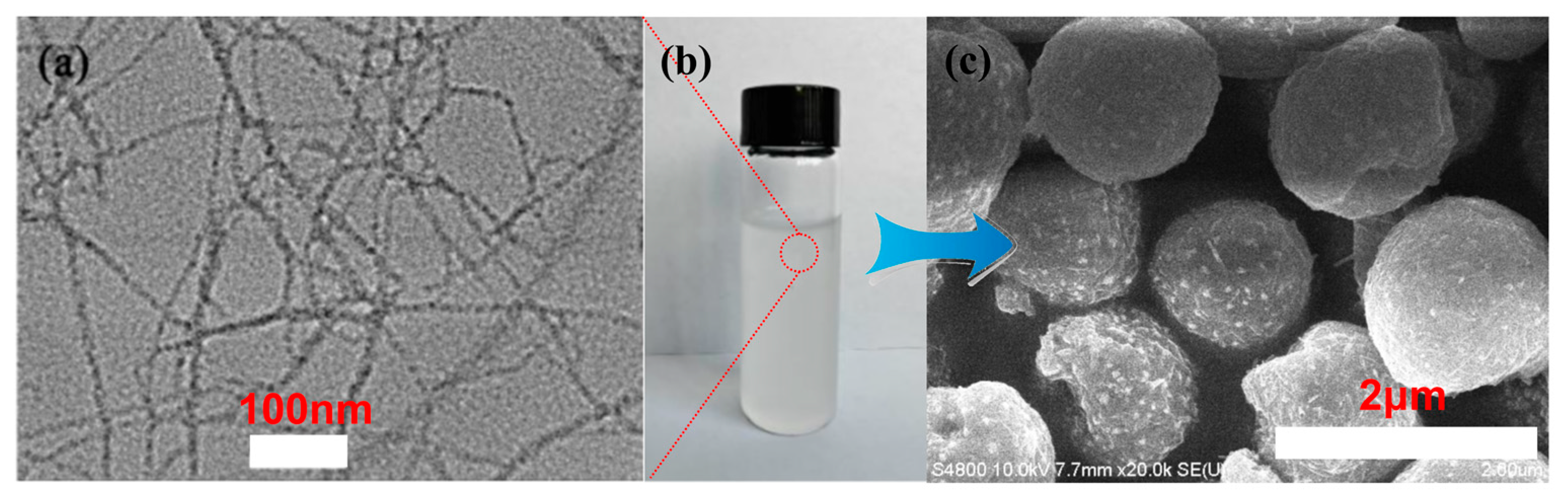 Coatings 15 00740 g001