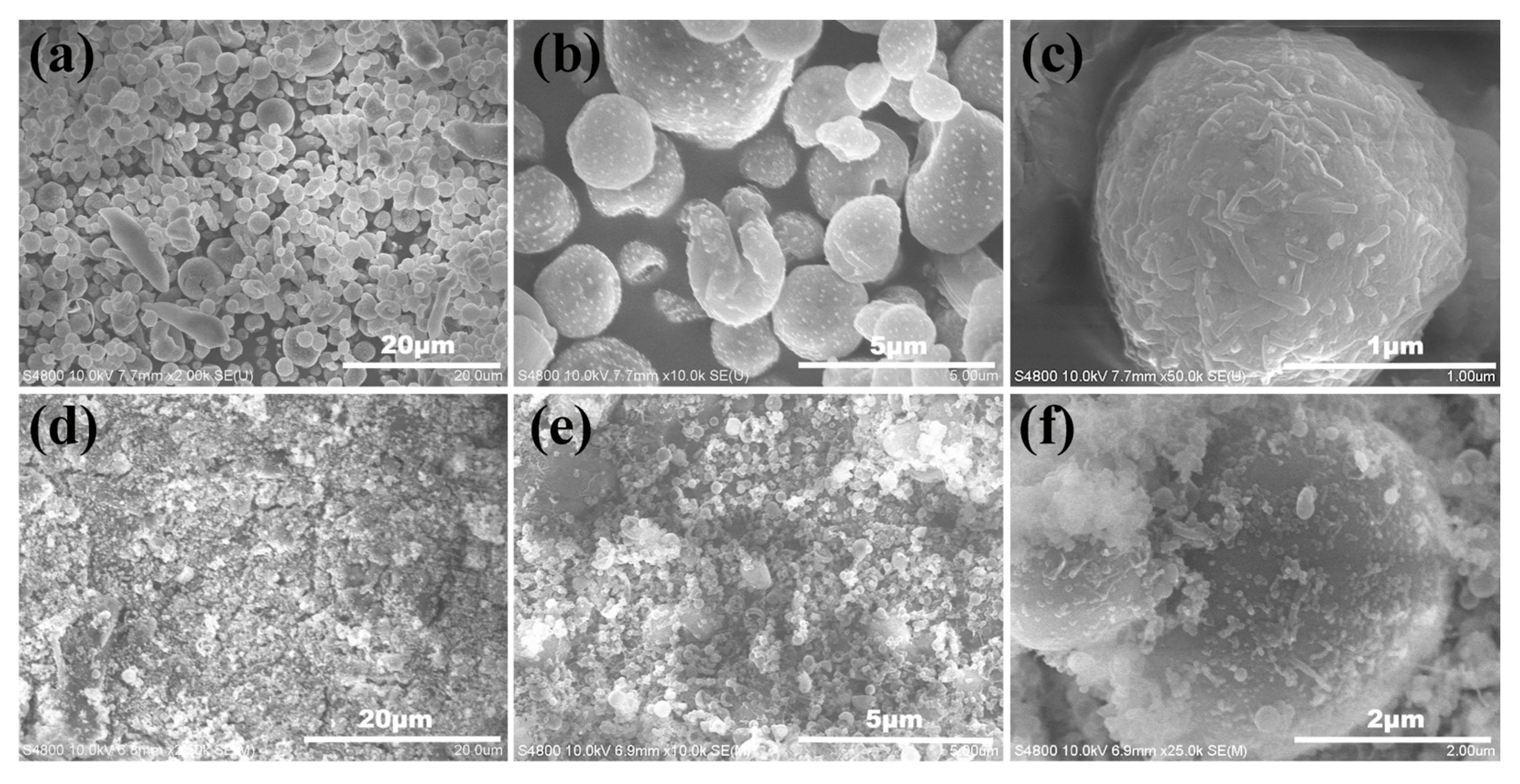Coatings 15 00740 g004