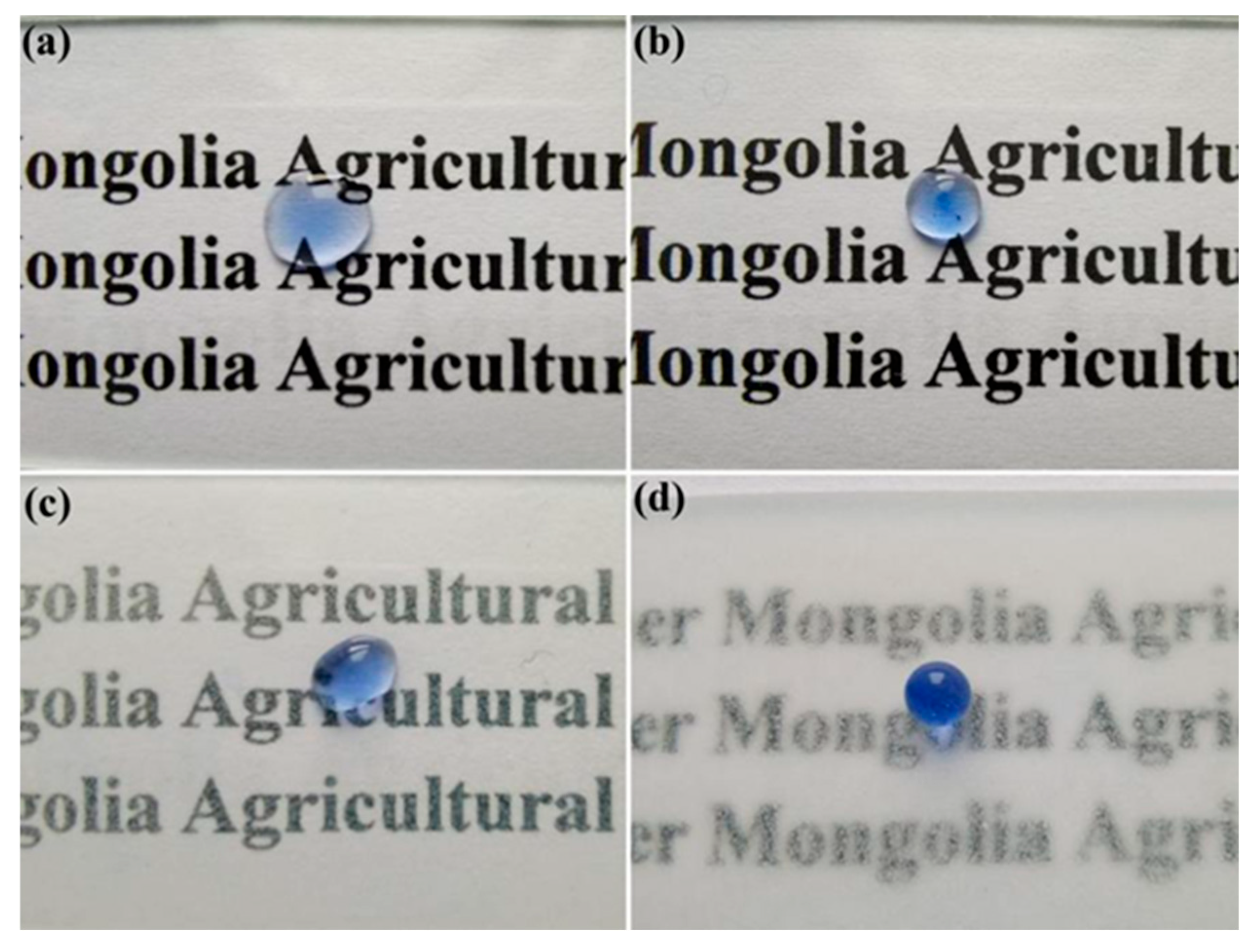 Coatings 15 00740 g005