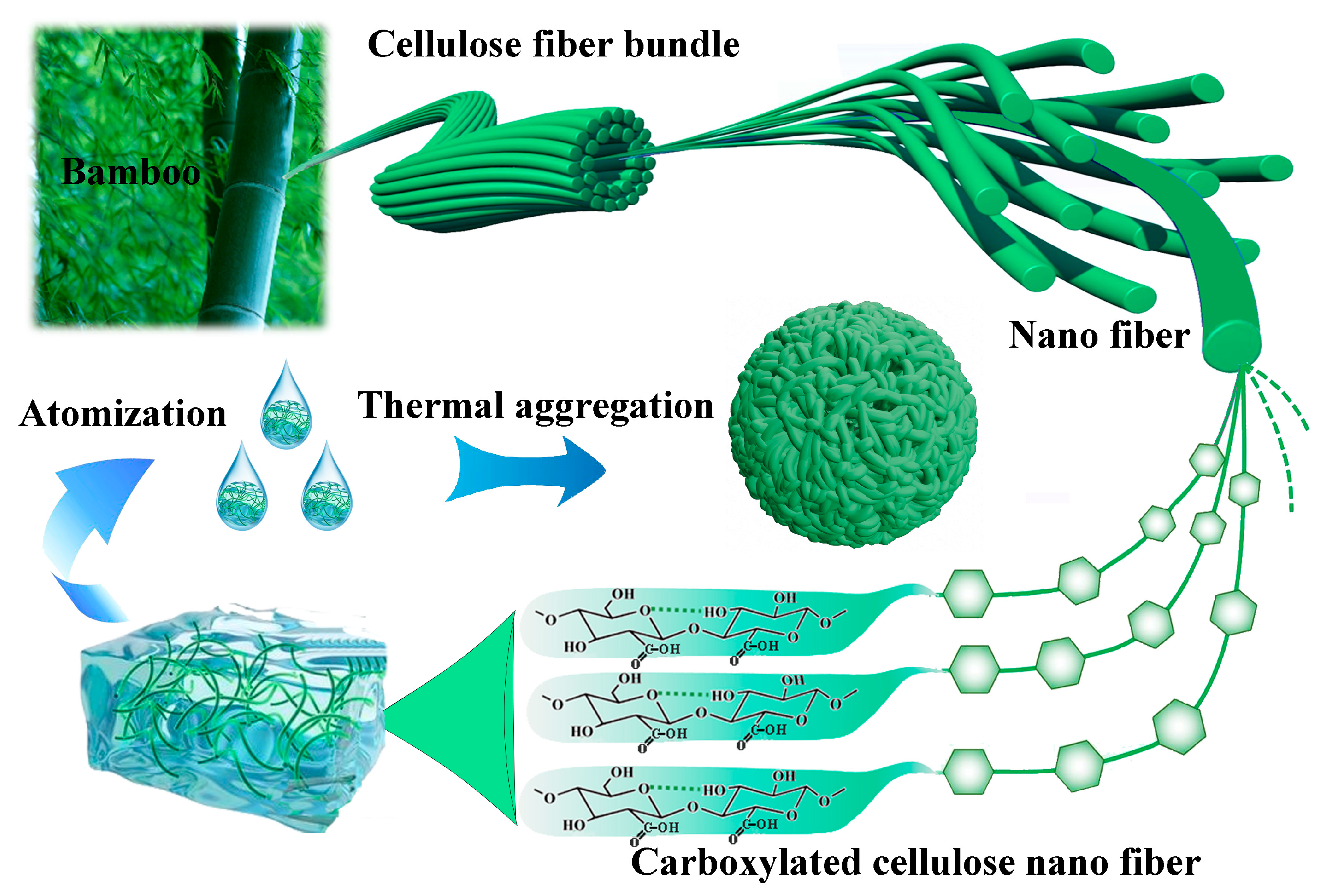 Coatings 15 00740 sch001