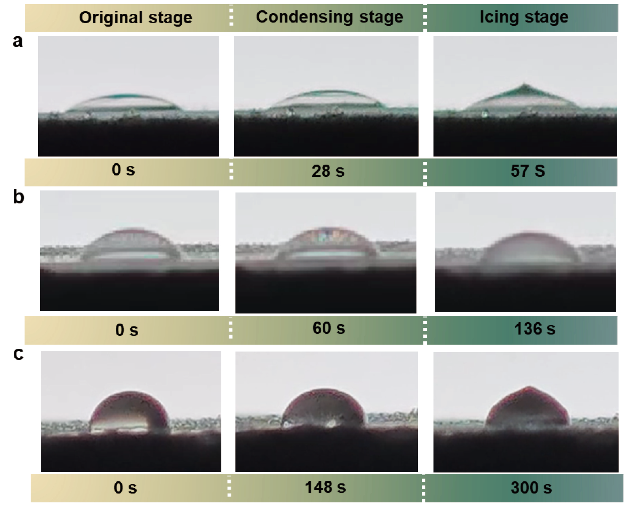Coatings 15 00745 g009