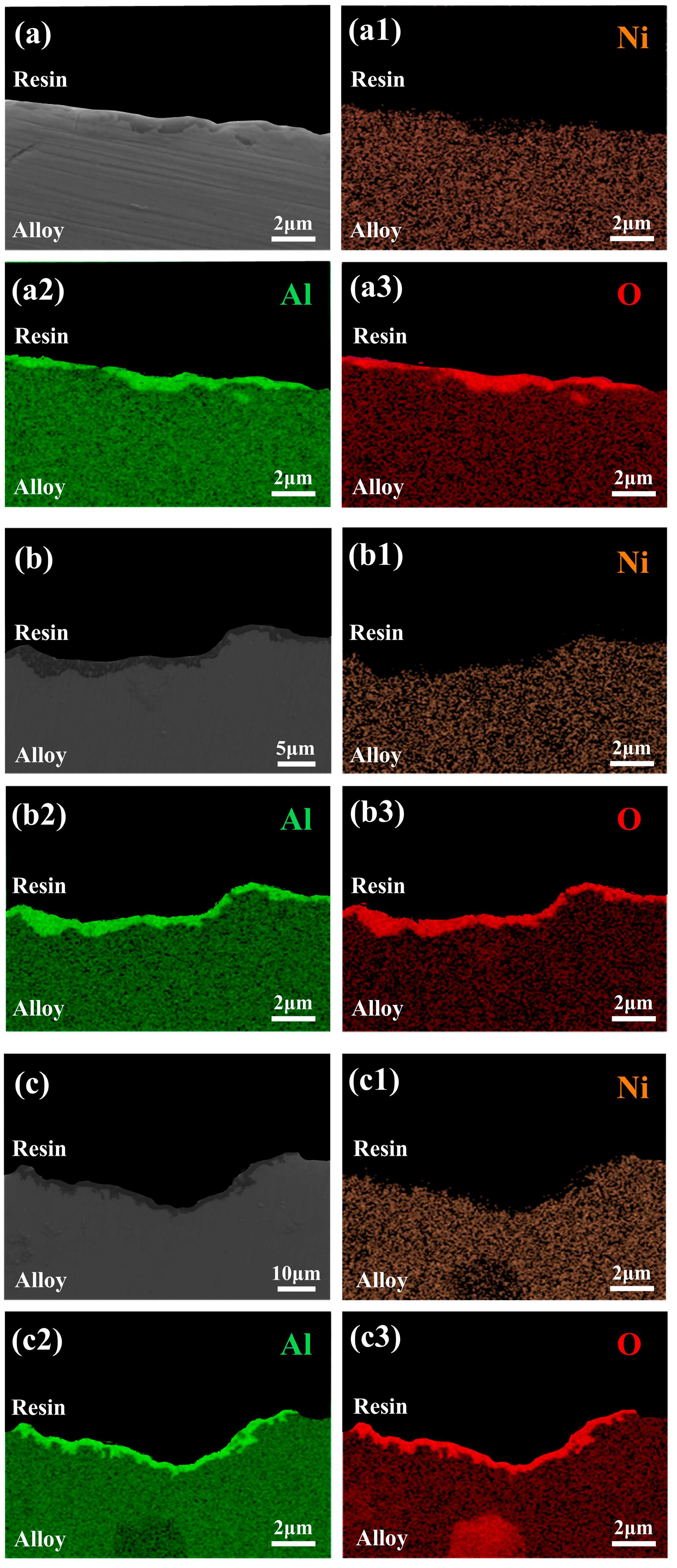 Coatings 15 00746 g012