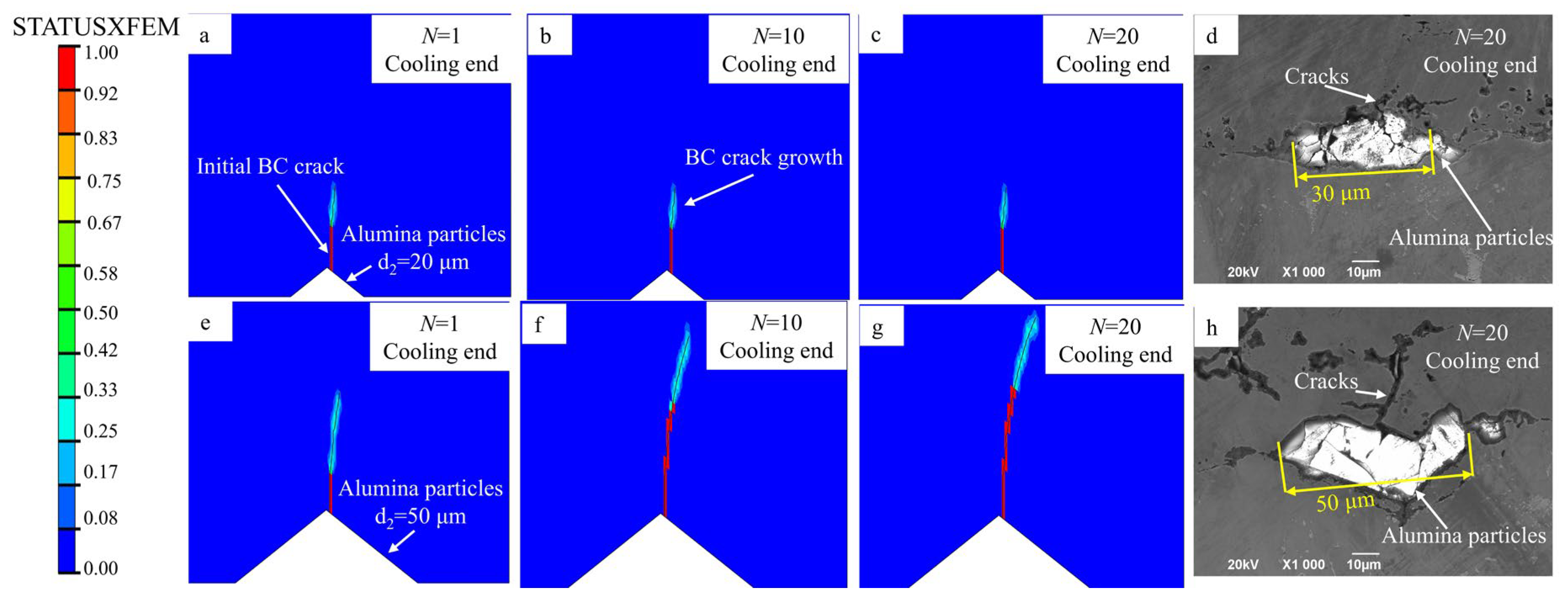 Coatings 15 00747 g009