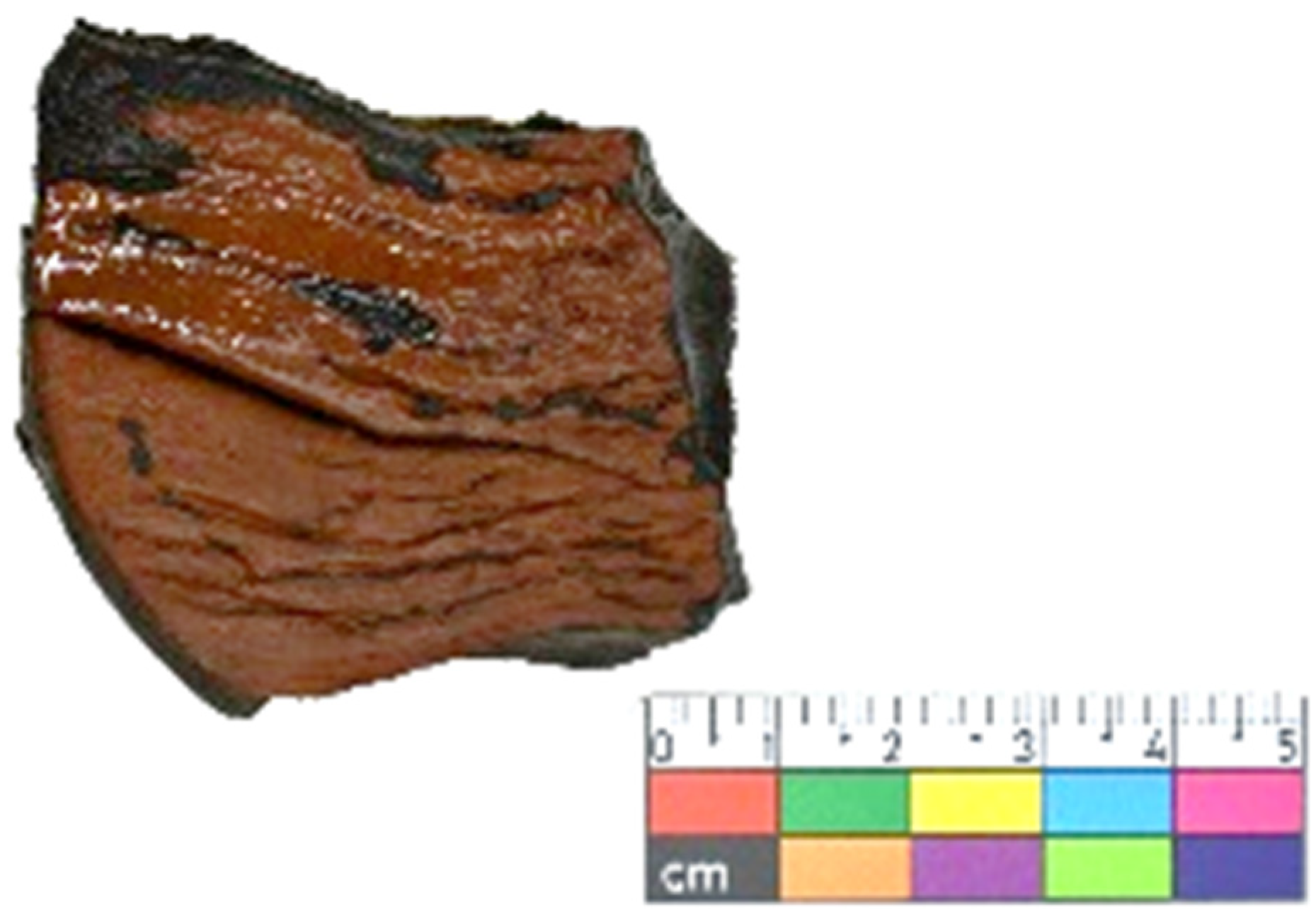 Coatings 15 00752 g002