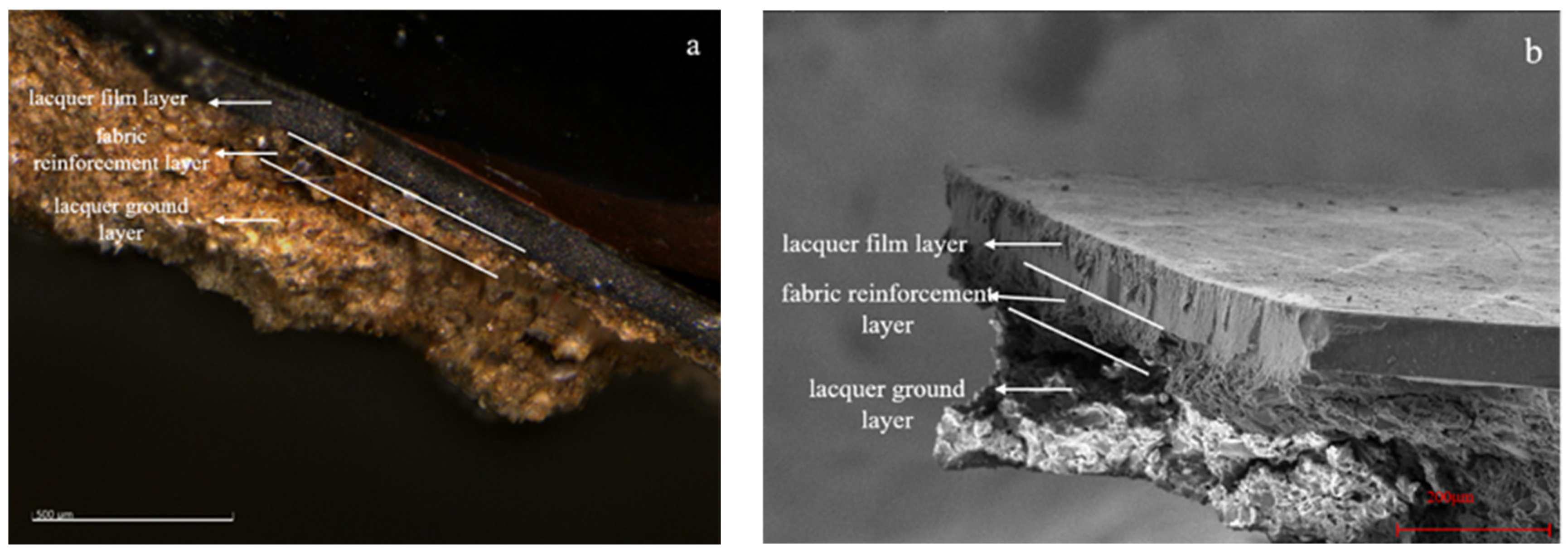 Coatings 15 00752 g003