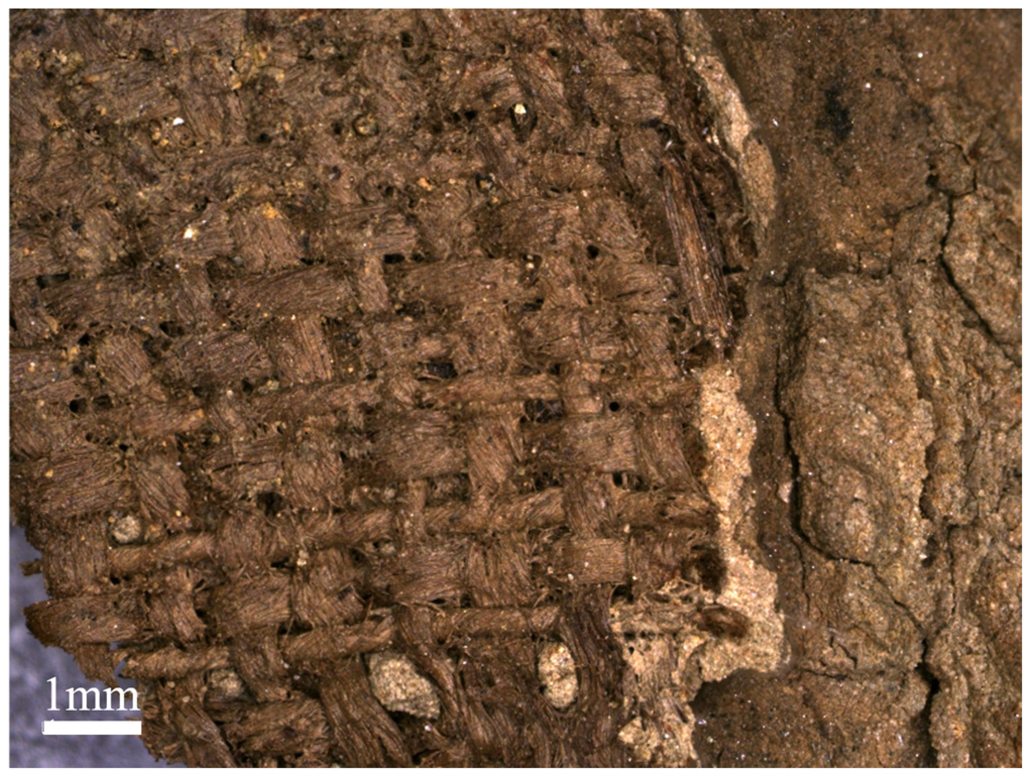 Coatings 15 00752 g005