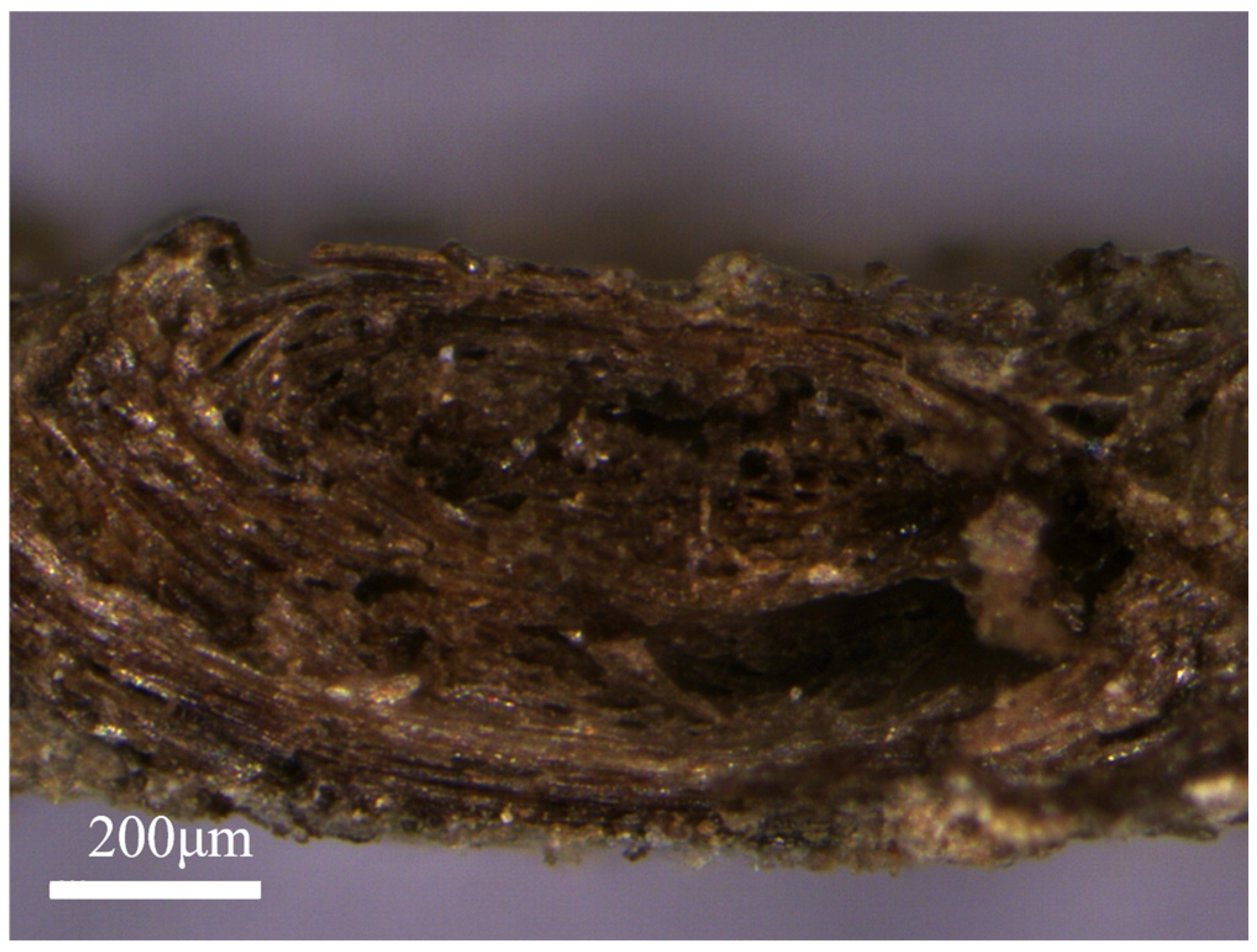 Coatings 15 00752 g006