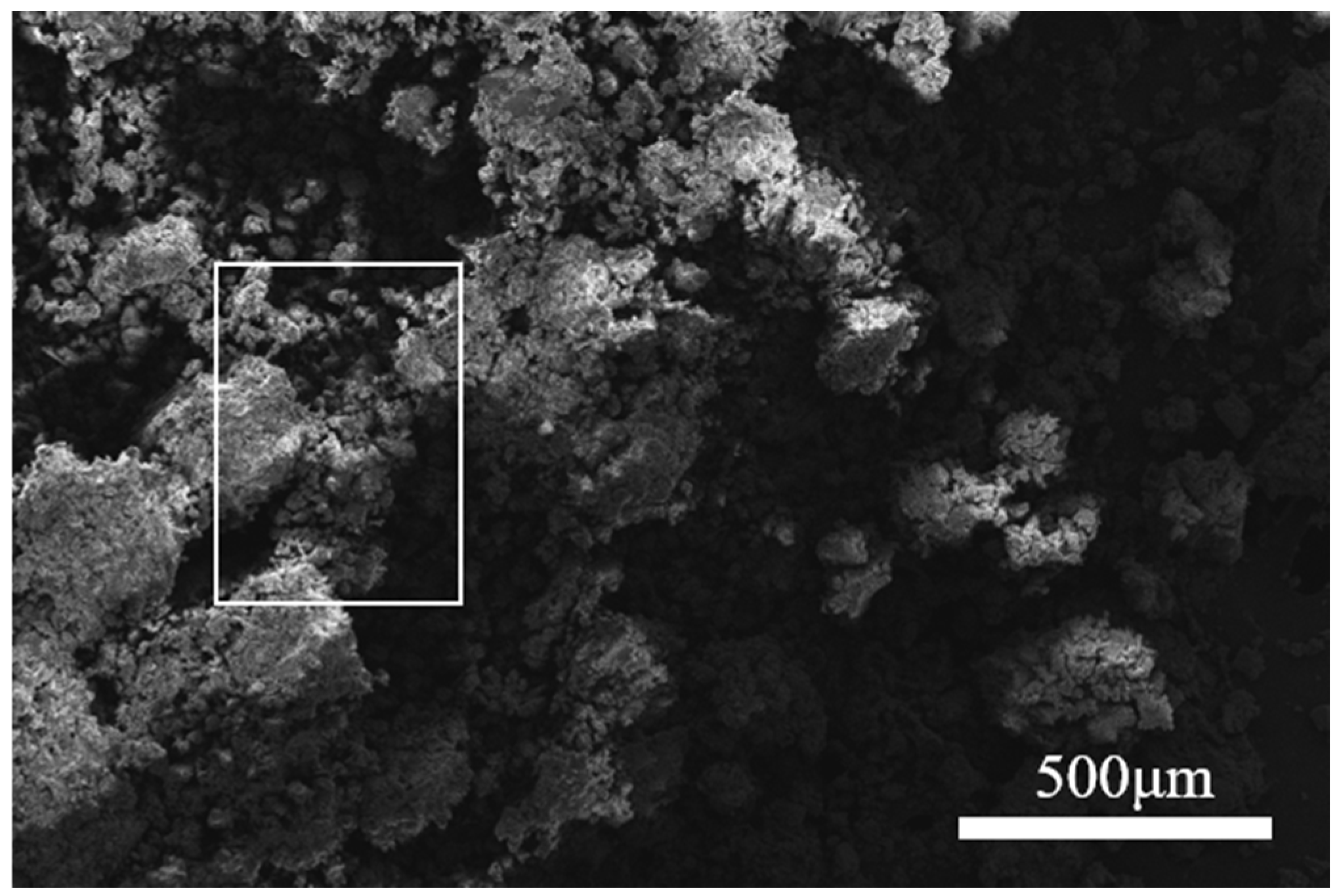 Coatings 15 00752 g008