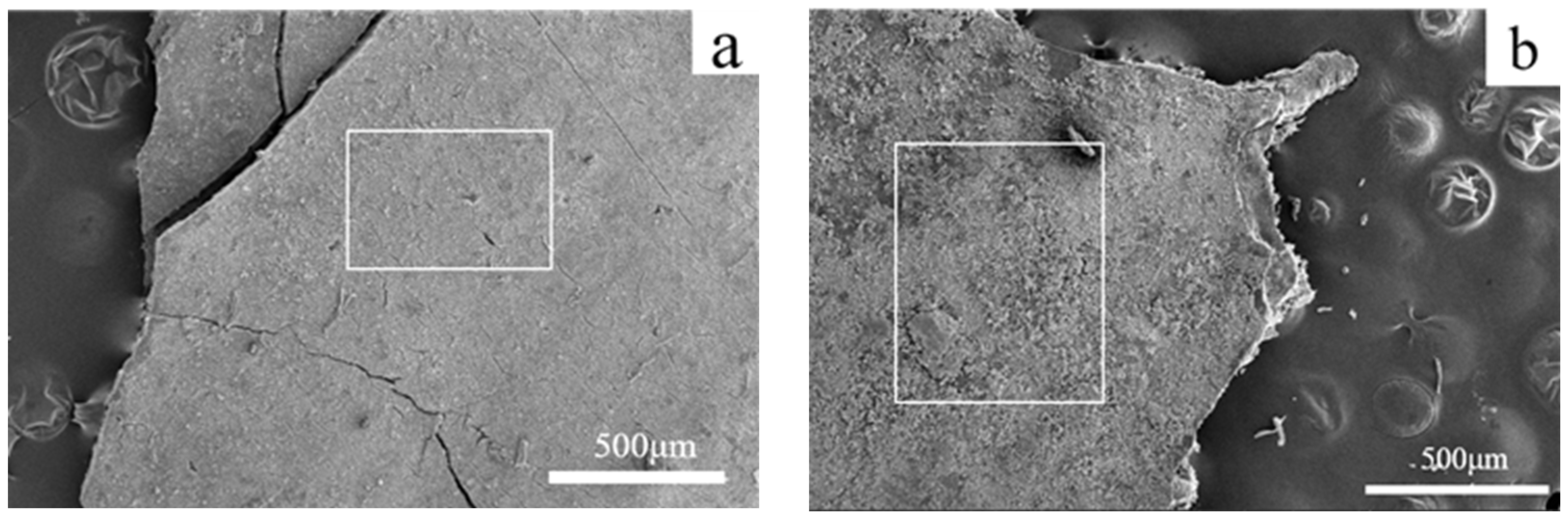 Coatings 15 00752 g012