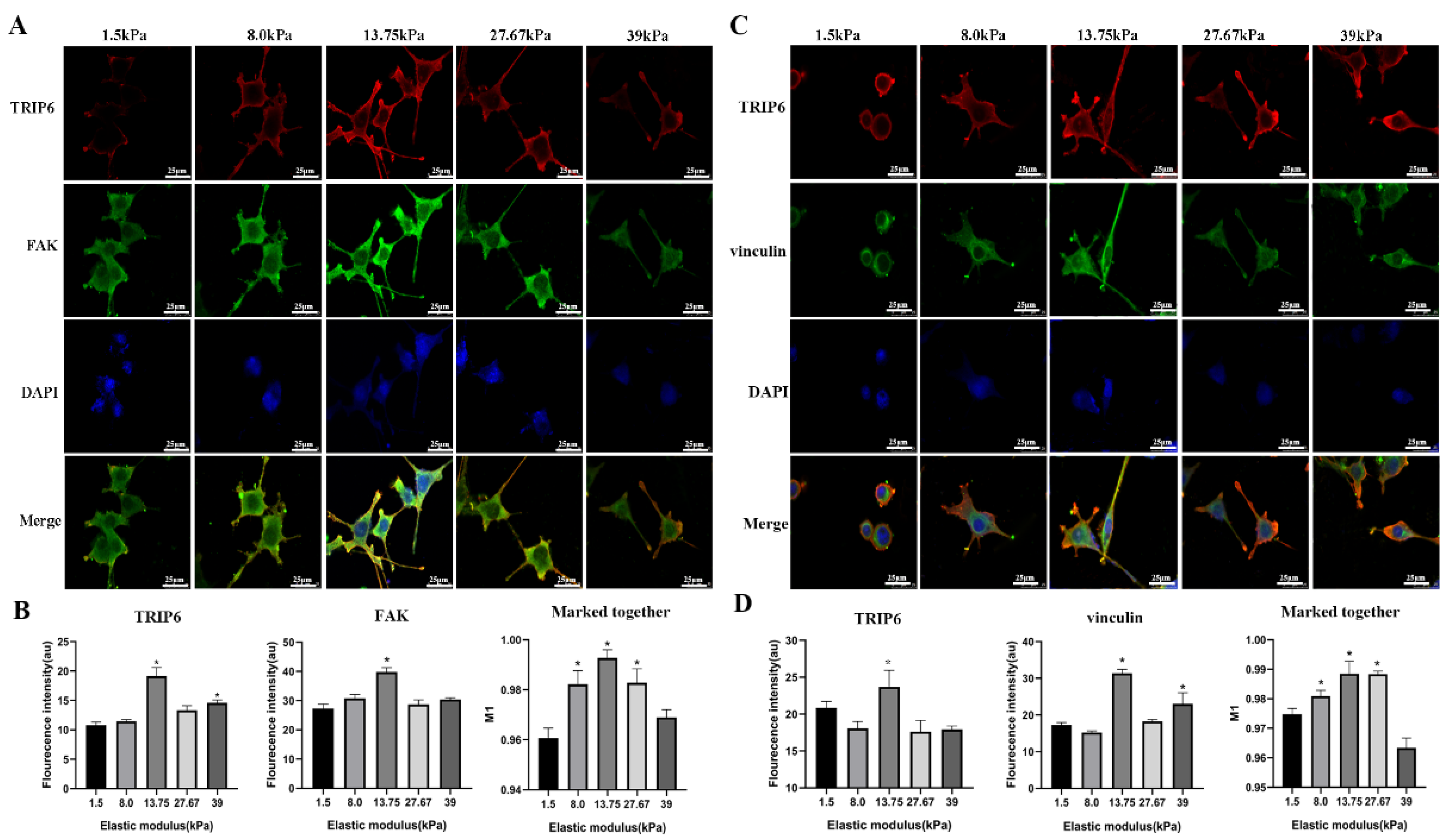 Coatings 15 00753 g004