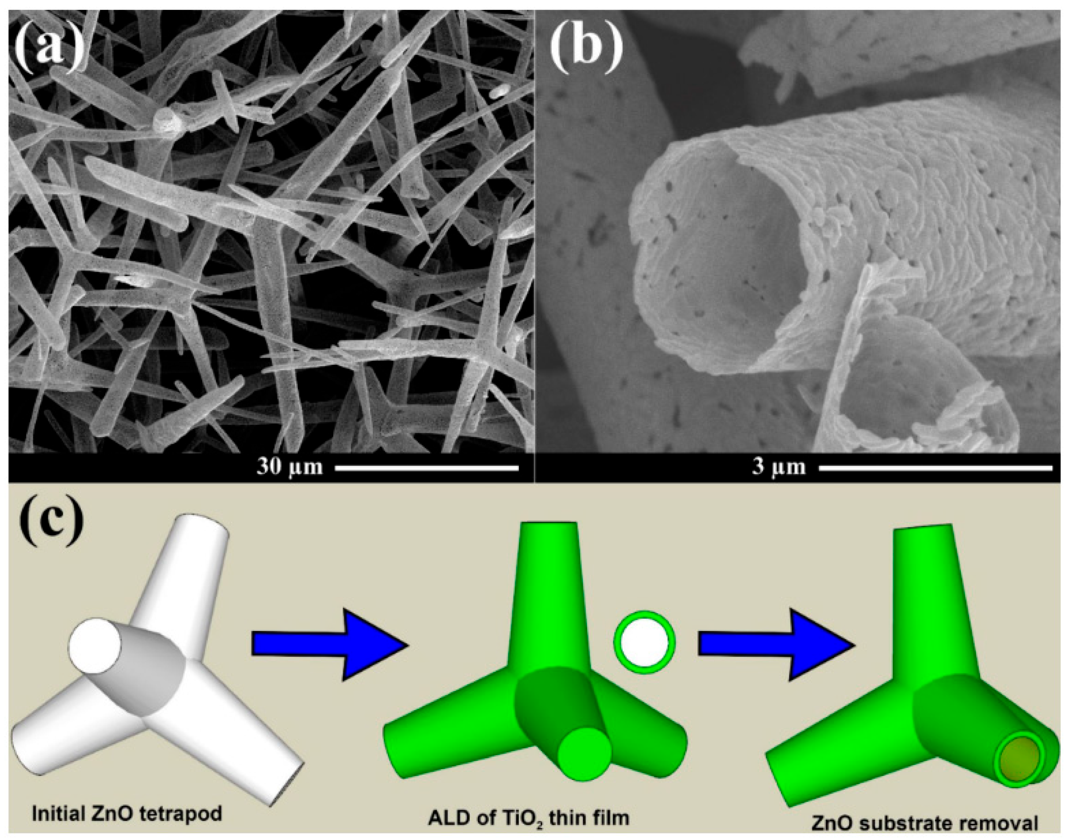 Coatings 15 00754 g013