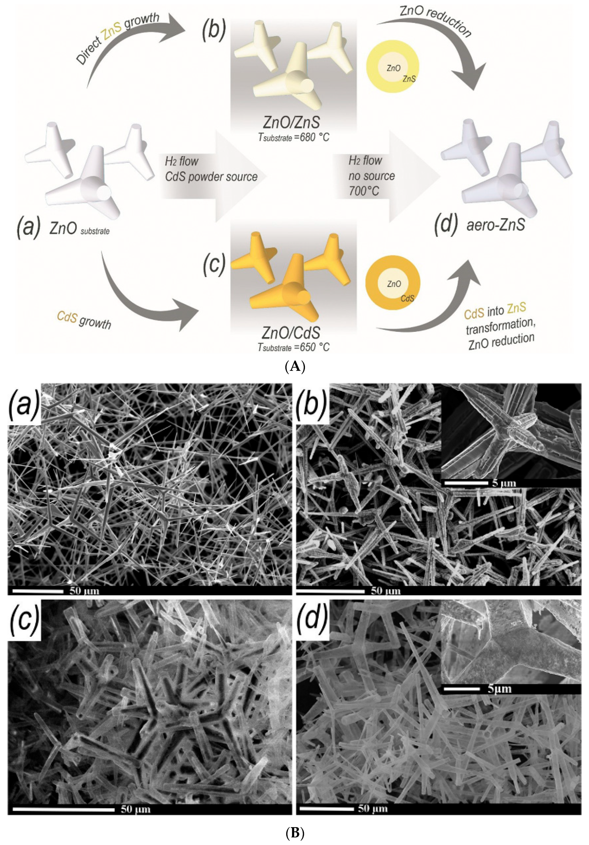Coatings 15 00754 g017