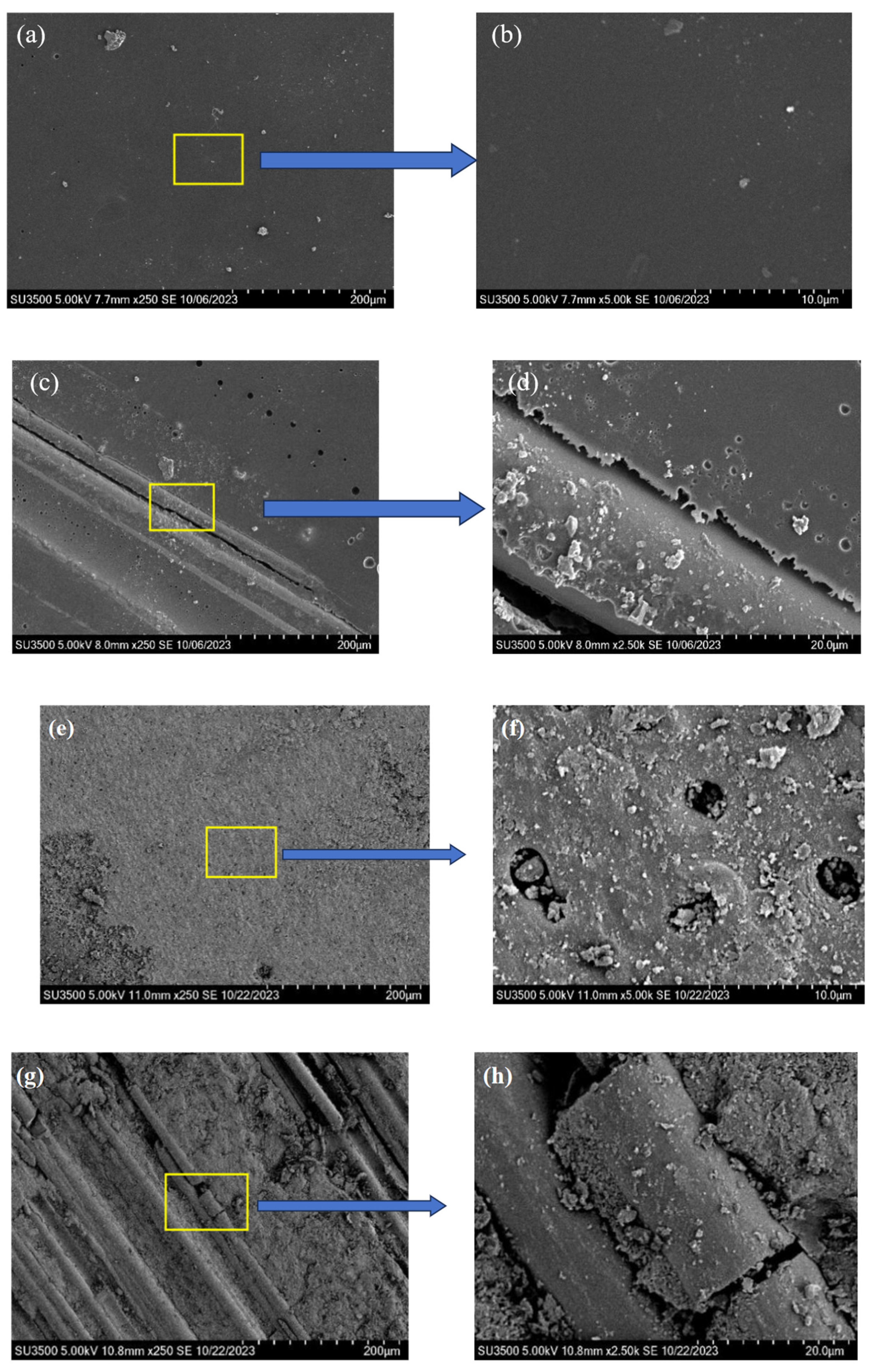 Coatings 15 00759 g007