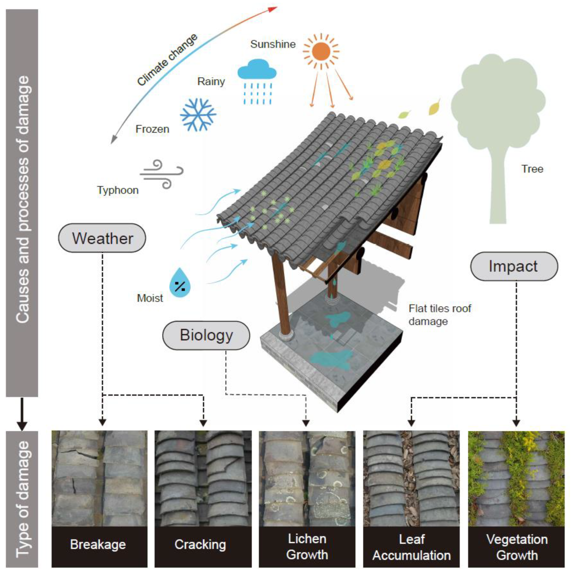 Coatings 15 00761 g005