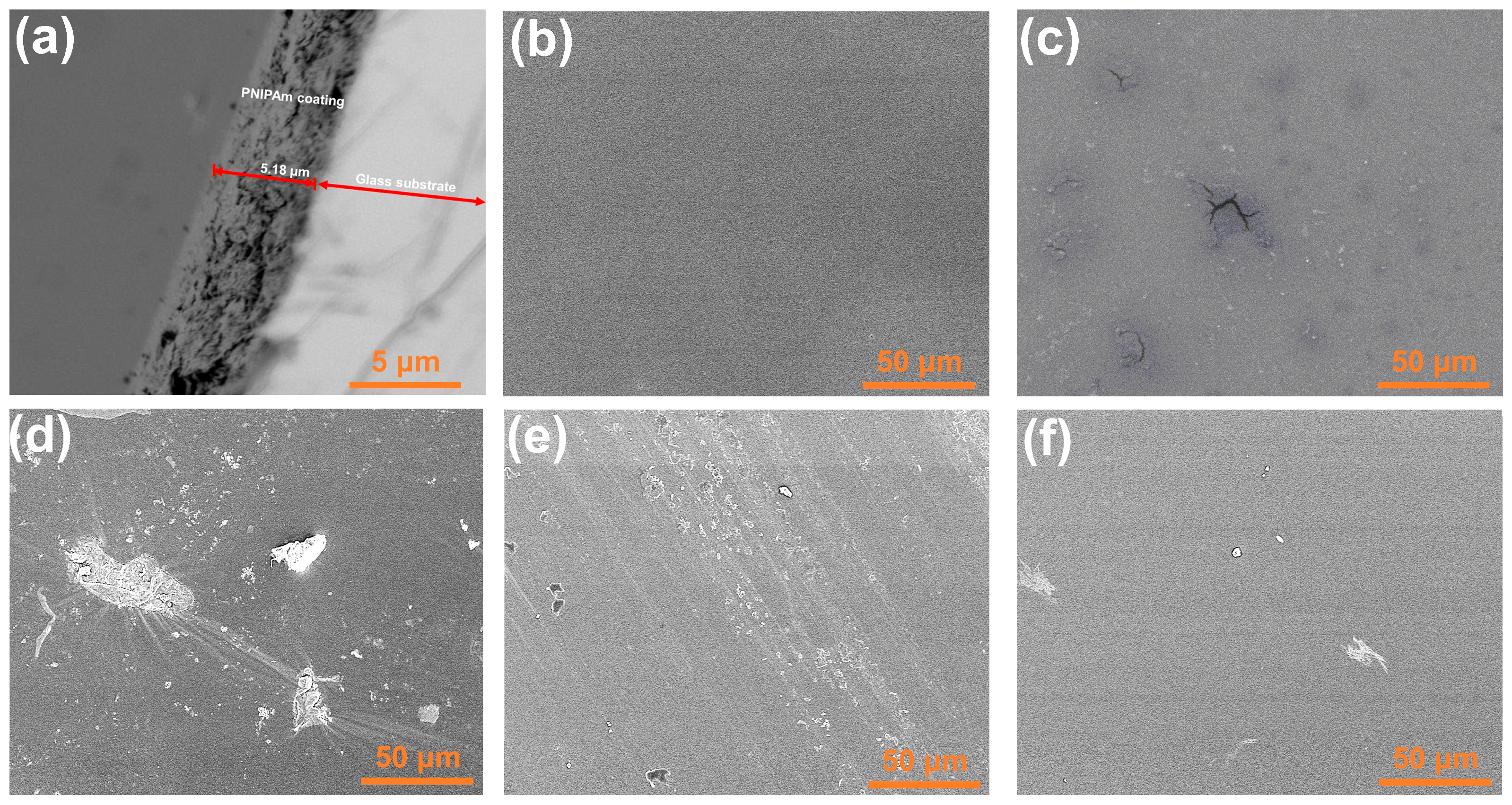 Coatings 15 00762 g003