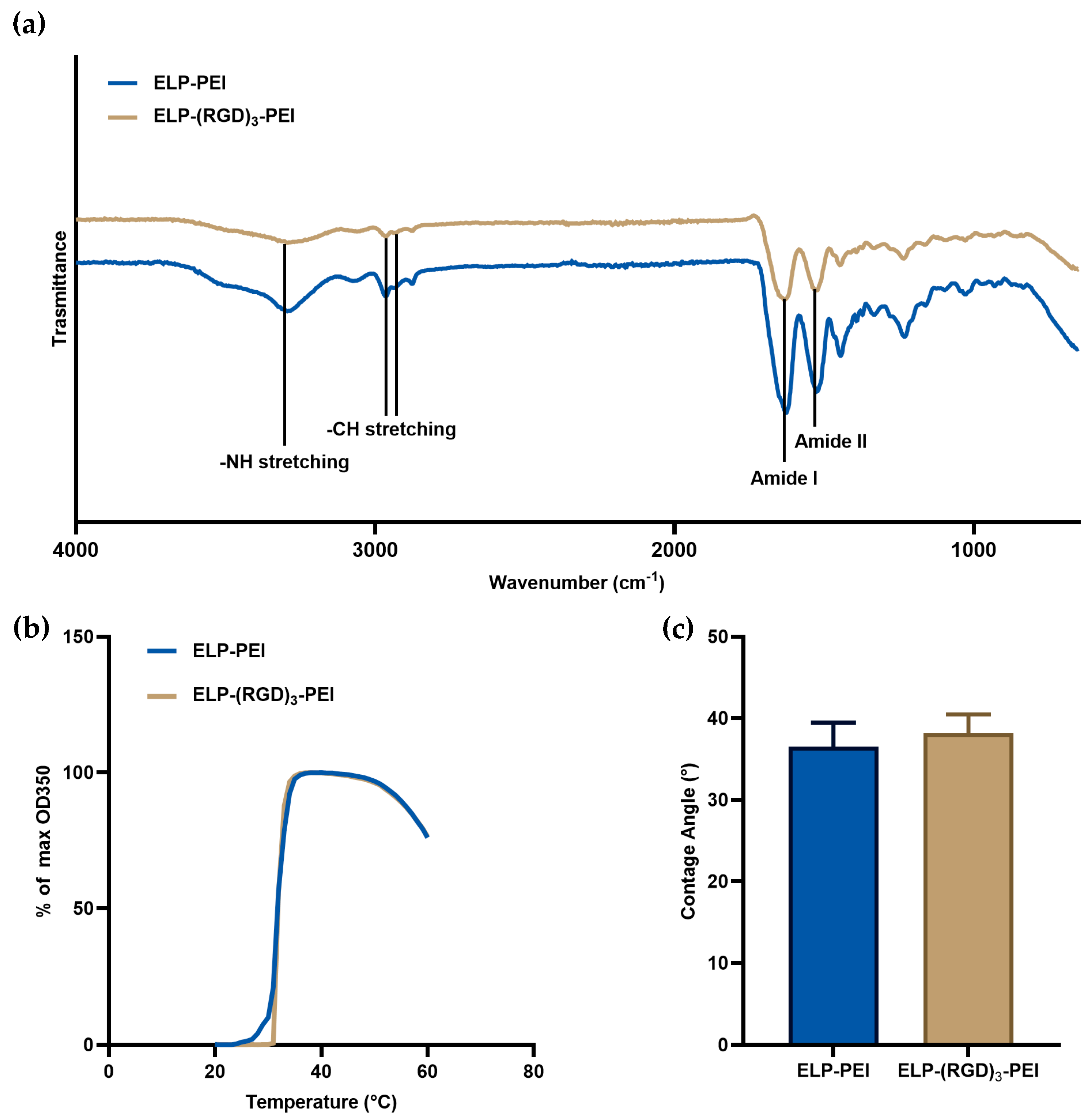Coatings 15 00763 g001