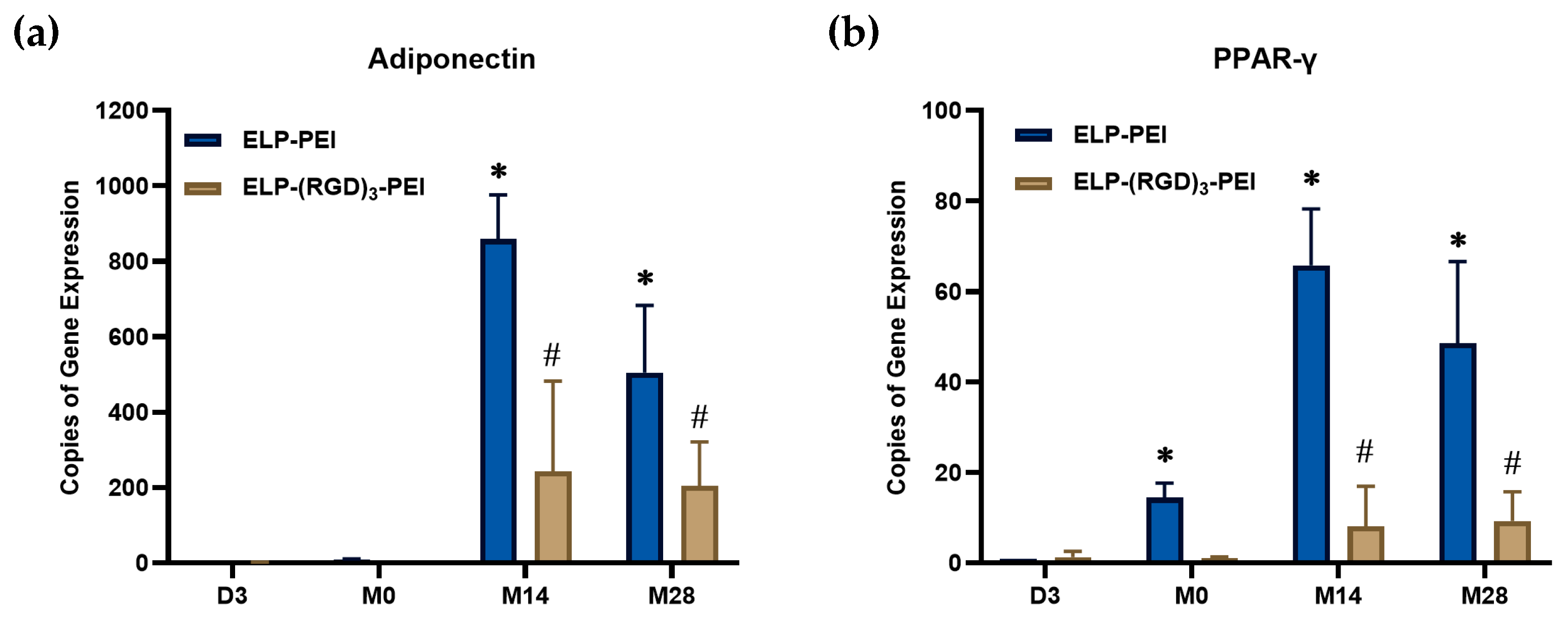 Coatings 15 00763 g004