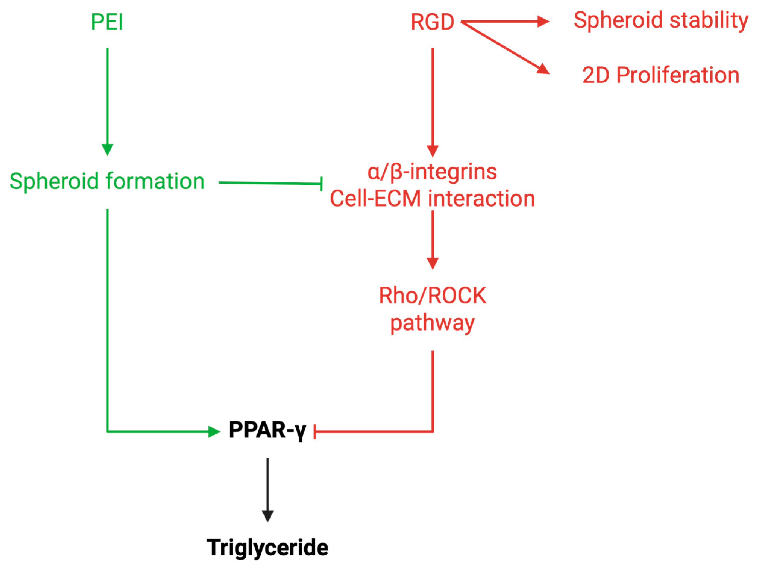 Coatings 15 00763 g007