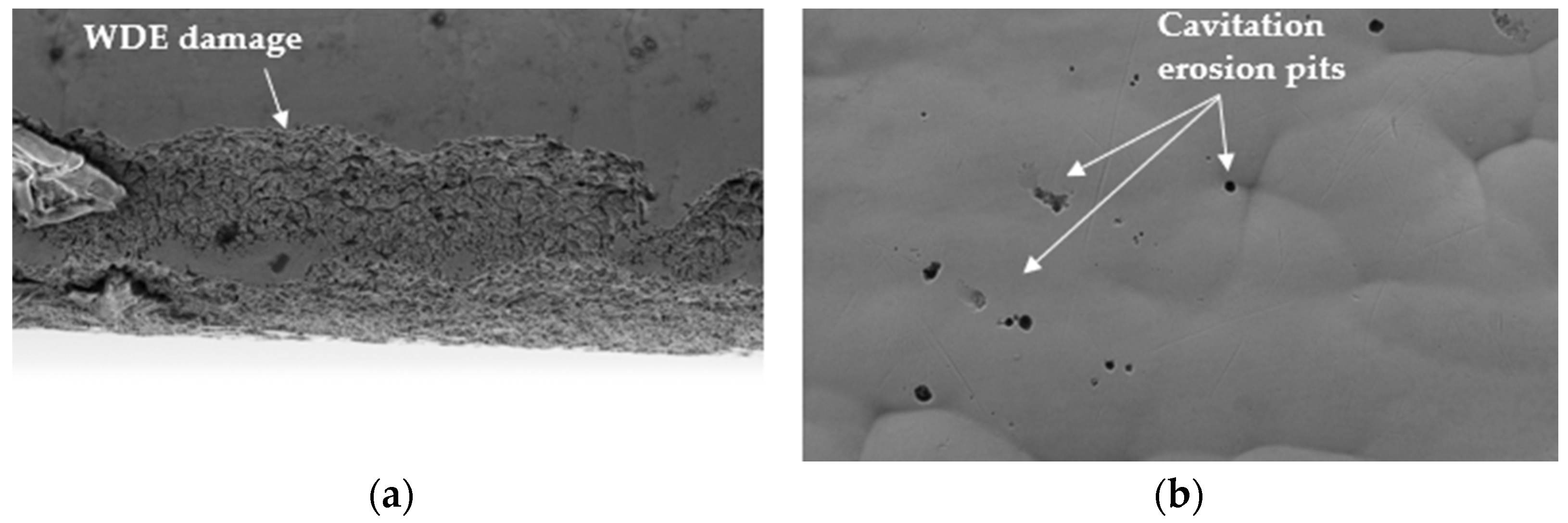 Coatings 15 00767 g008