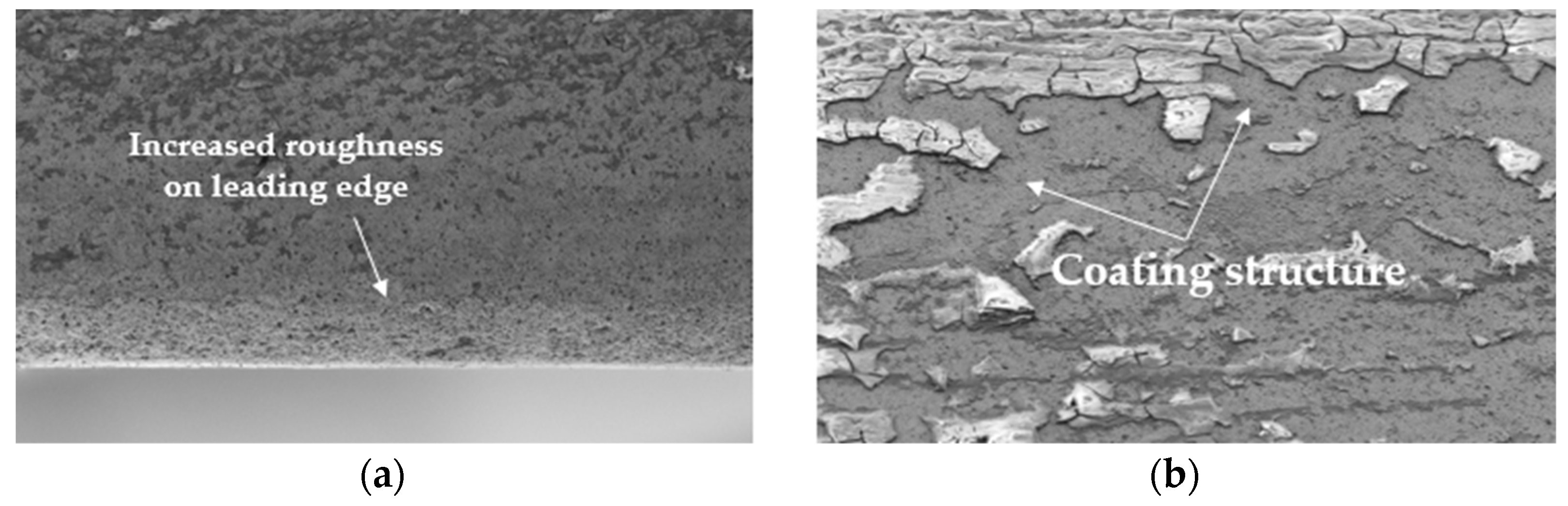 Coatings 15 00767 g010