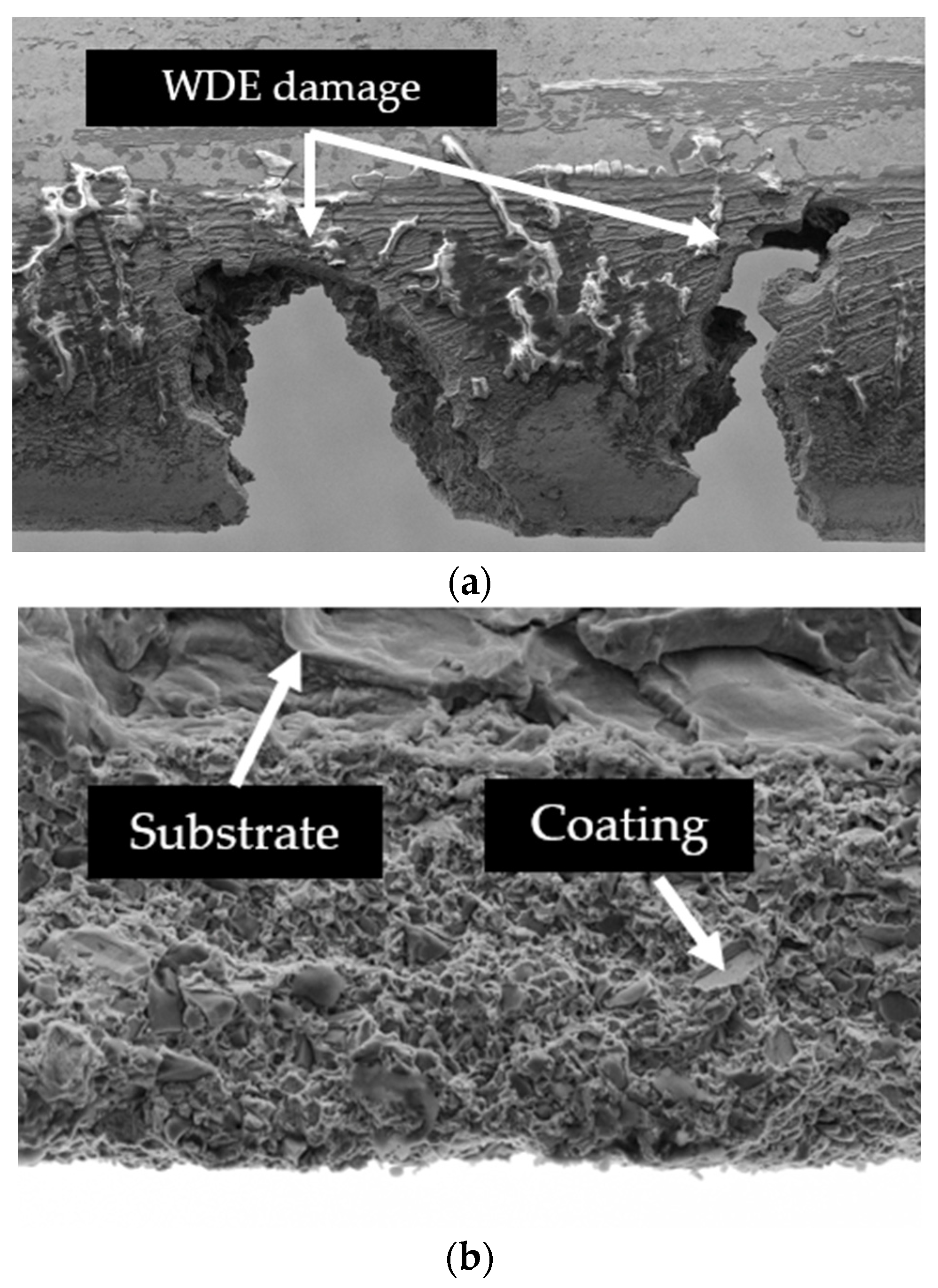 Coatings 15 00767 g011