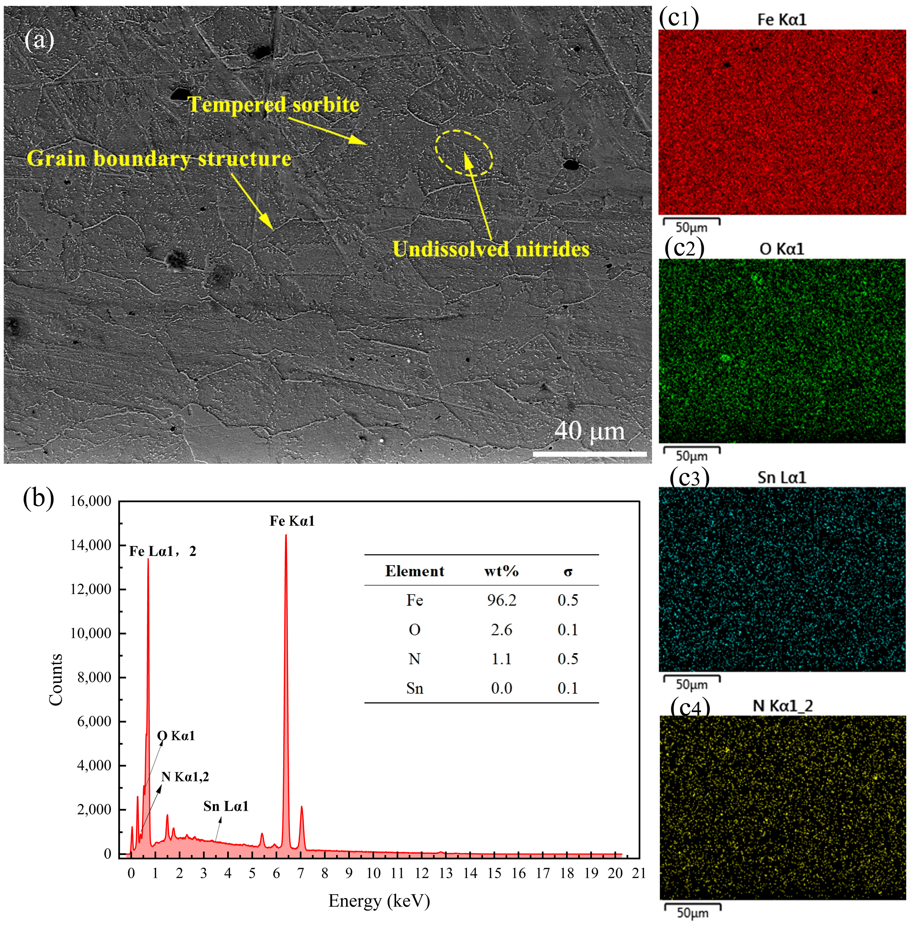 Coatings 15 00768 g006