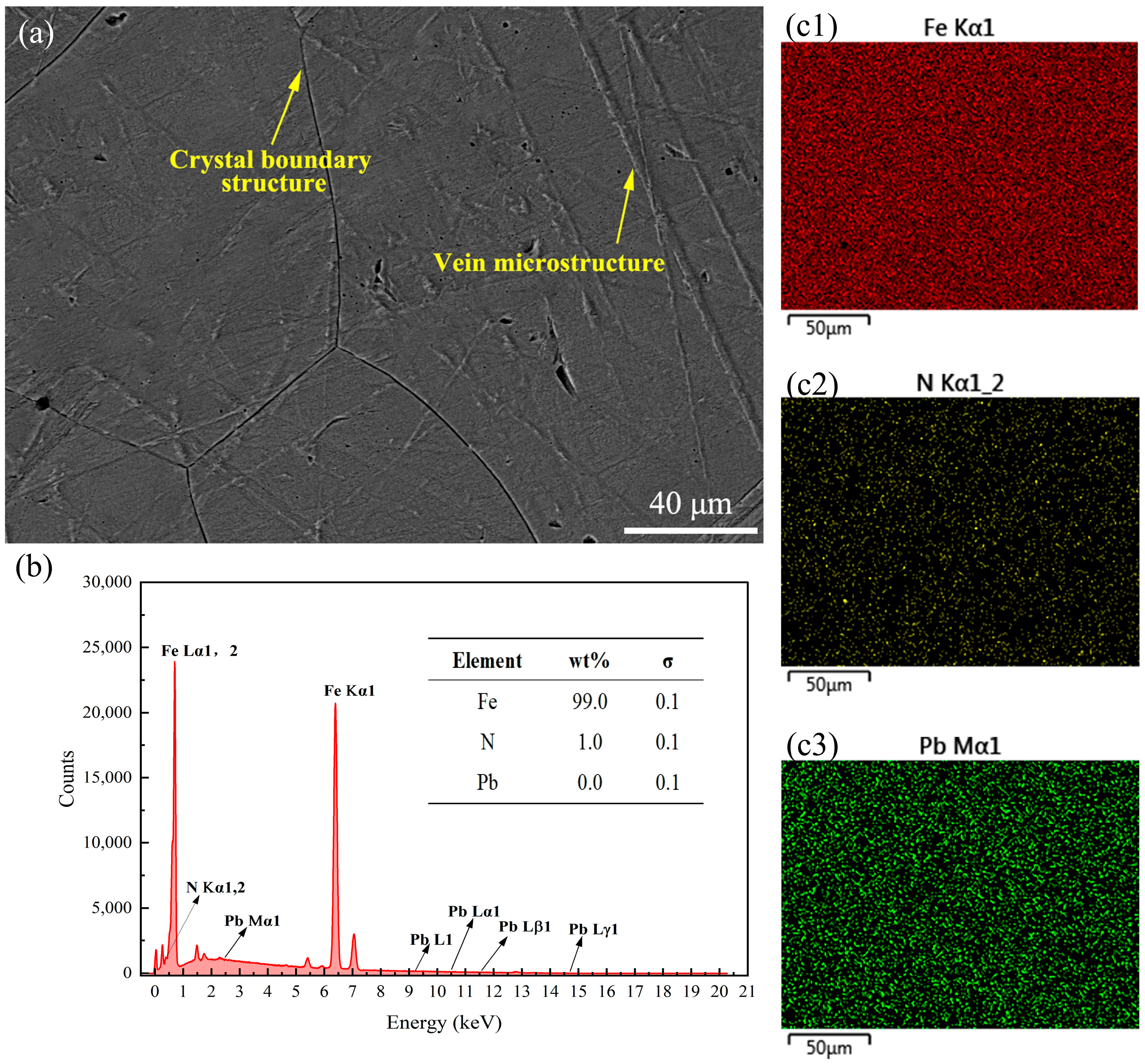 Coatings 15 00768 g007