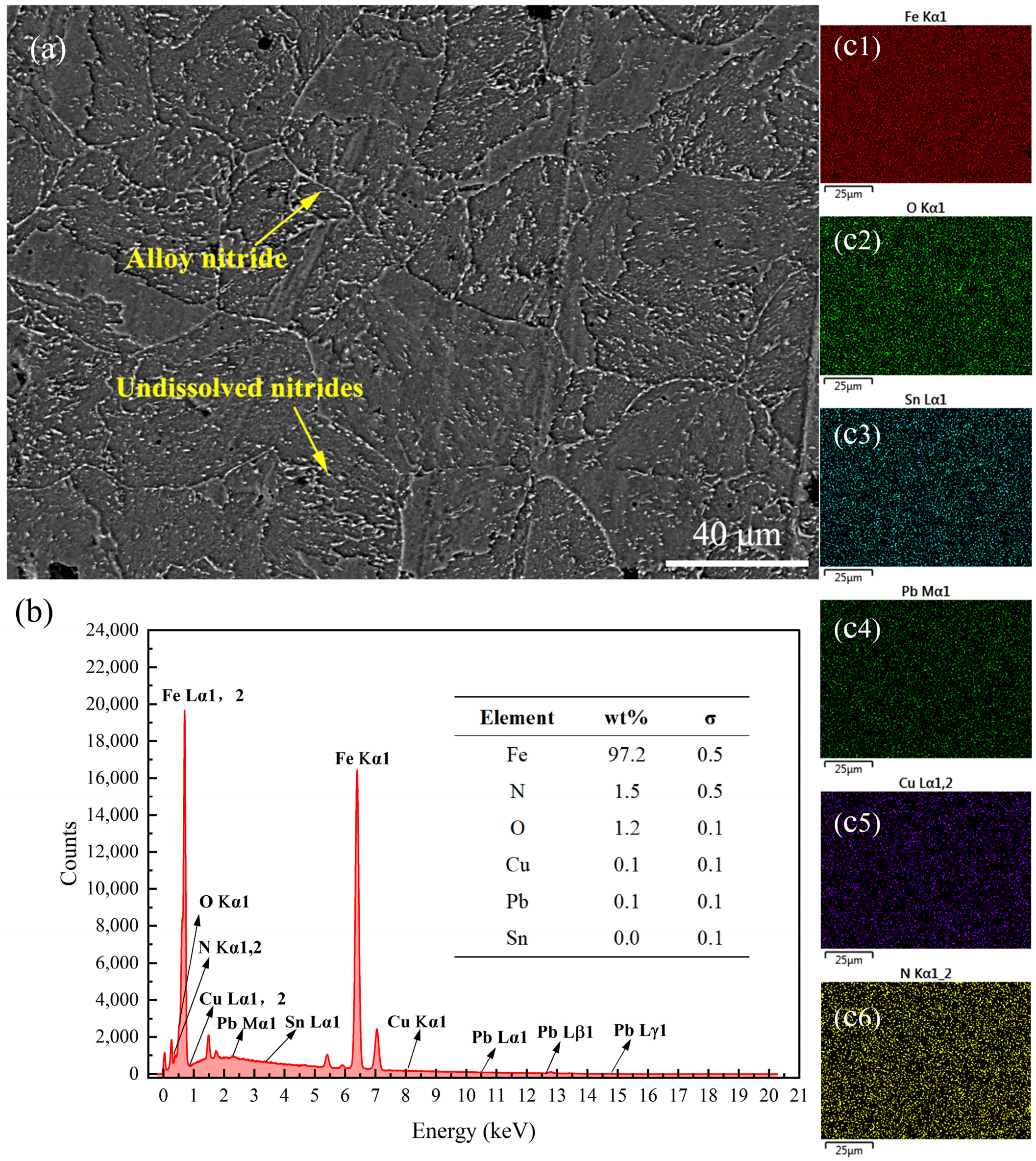 Coatings 15 00768 g010