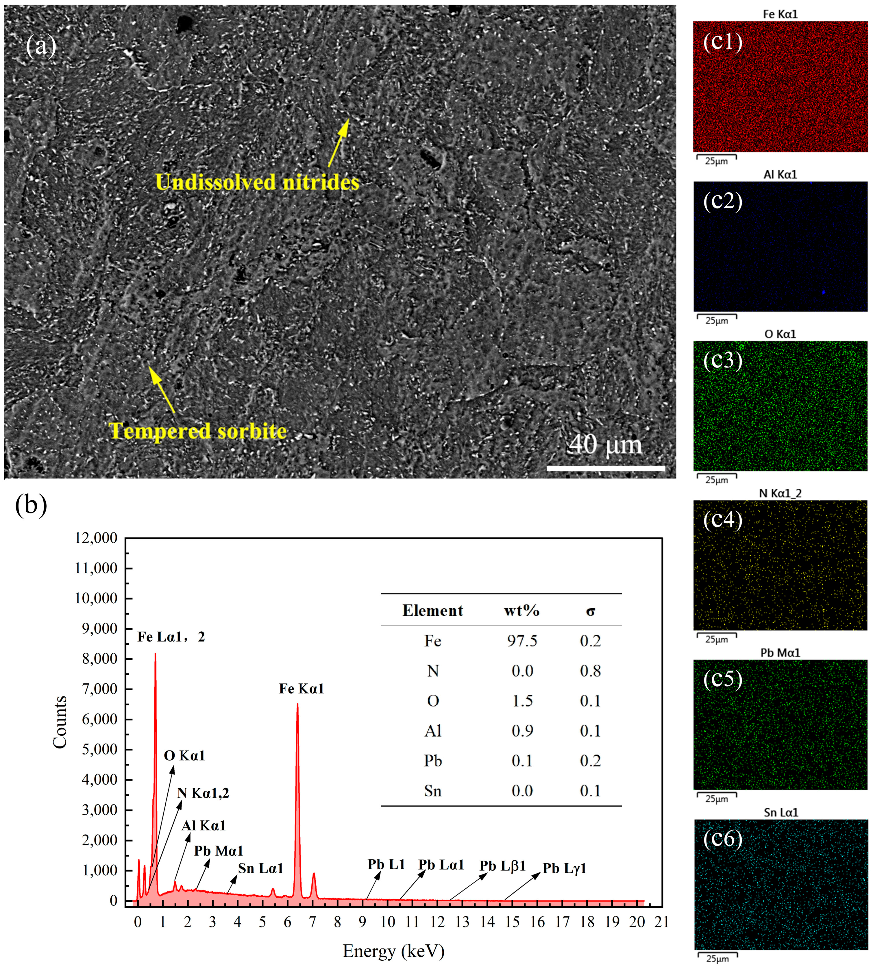 Coatings 15 00768 g011
