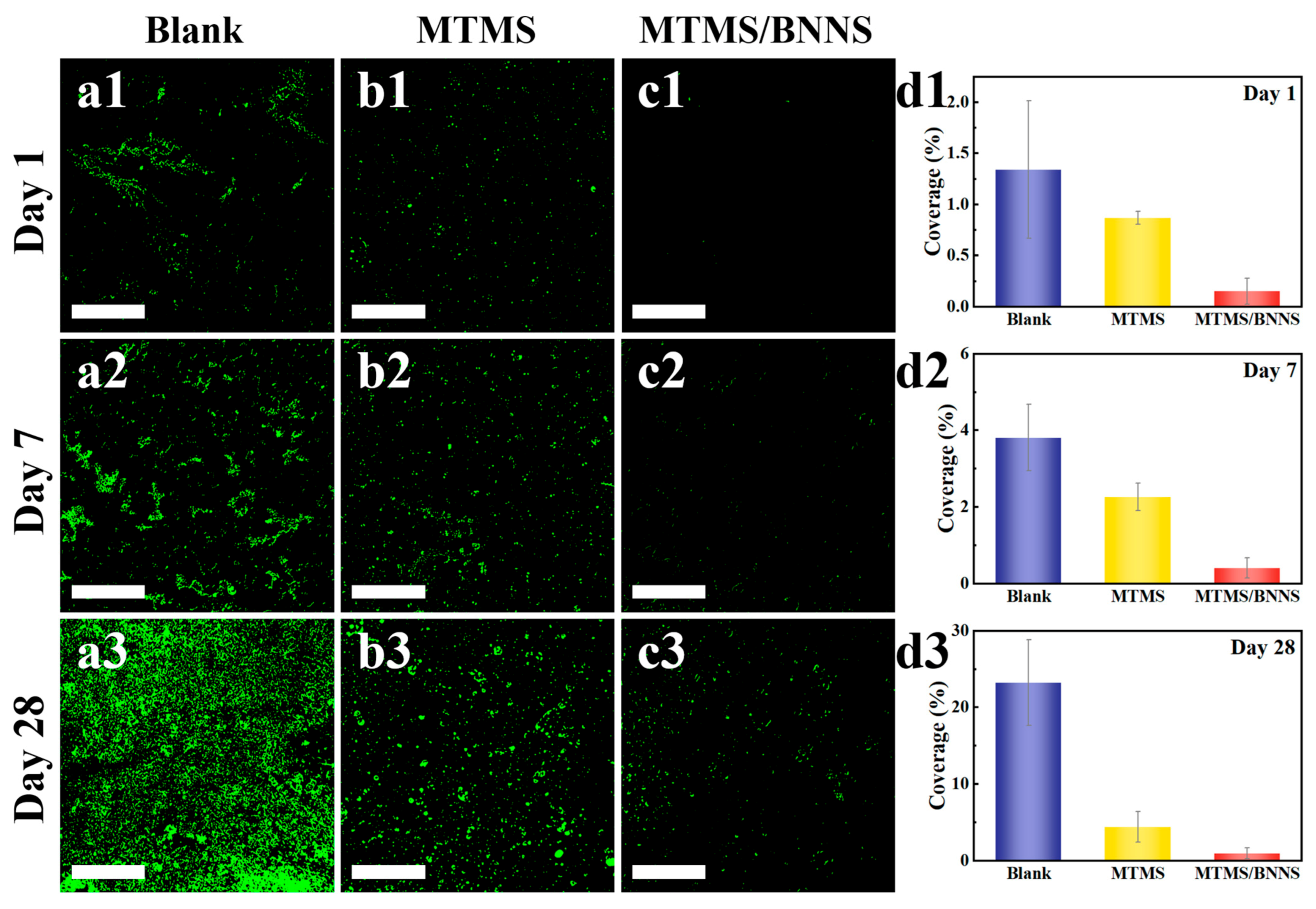Coatings 15 00769 g007