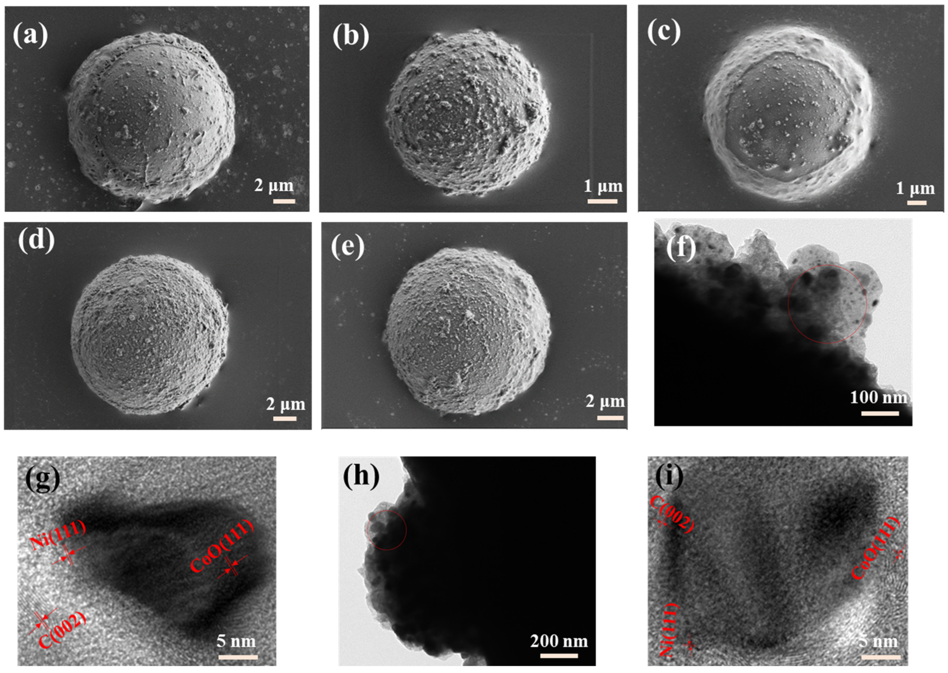 Coatings 15 00775 g002