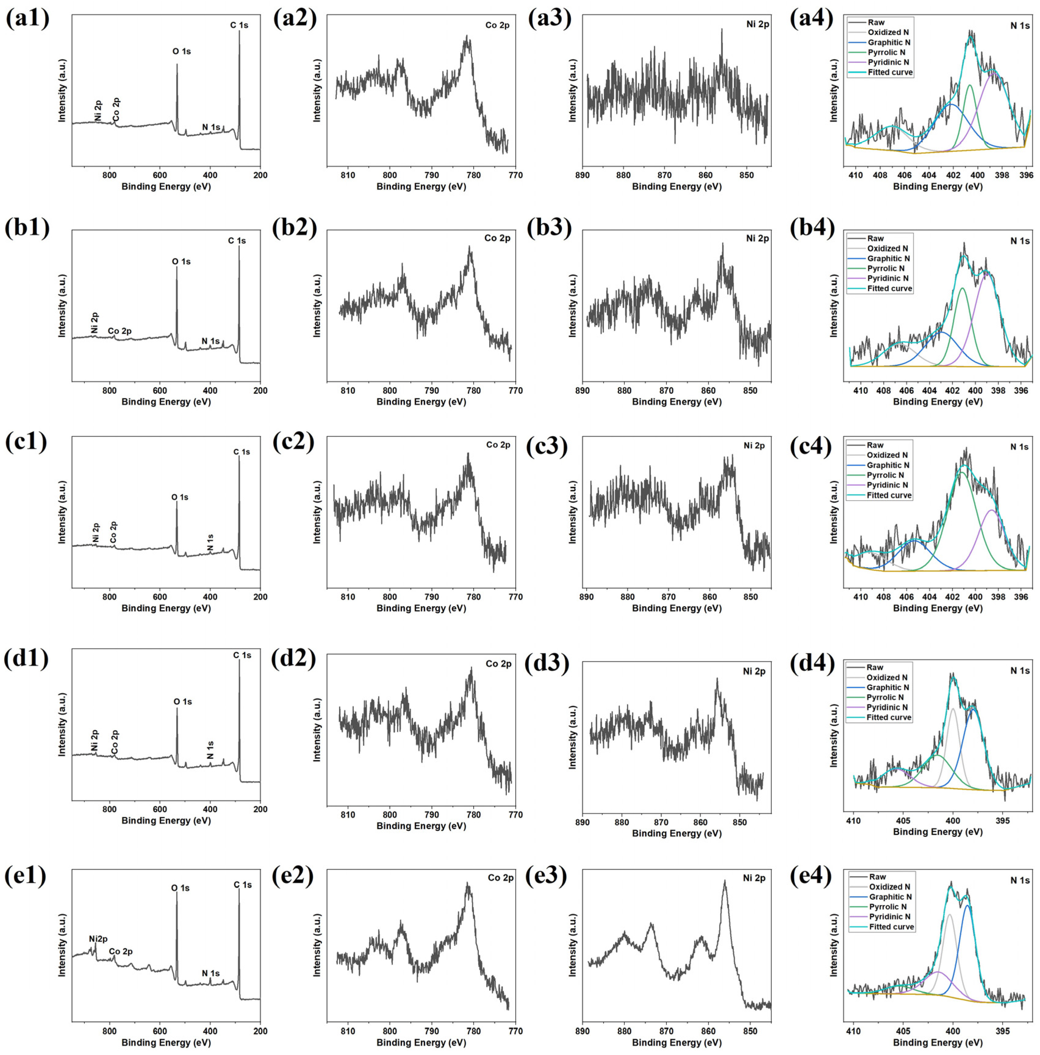 Coatings 15 00775 g004