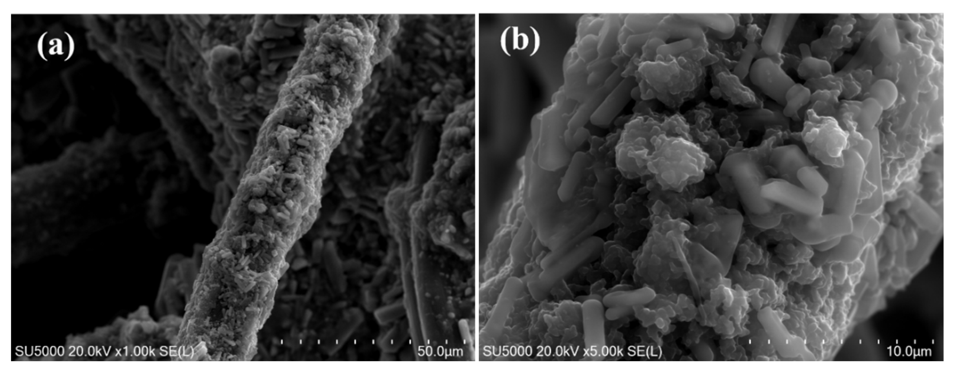 Coatings 15 00776 g002a
